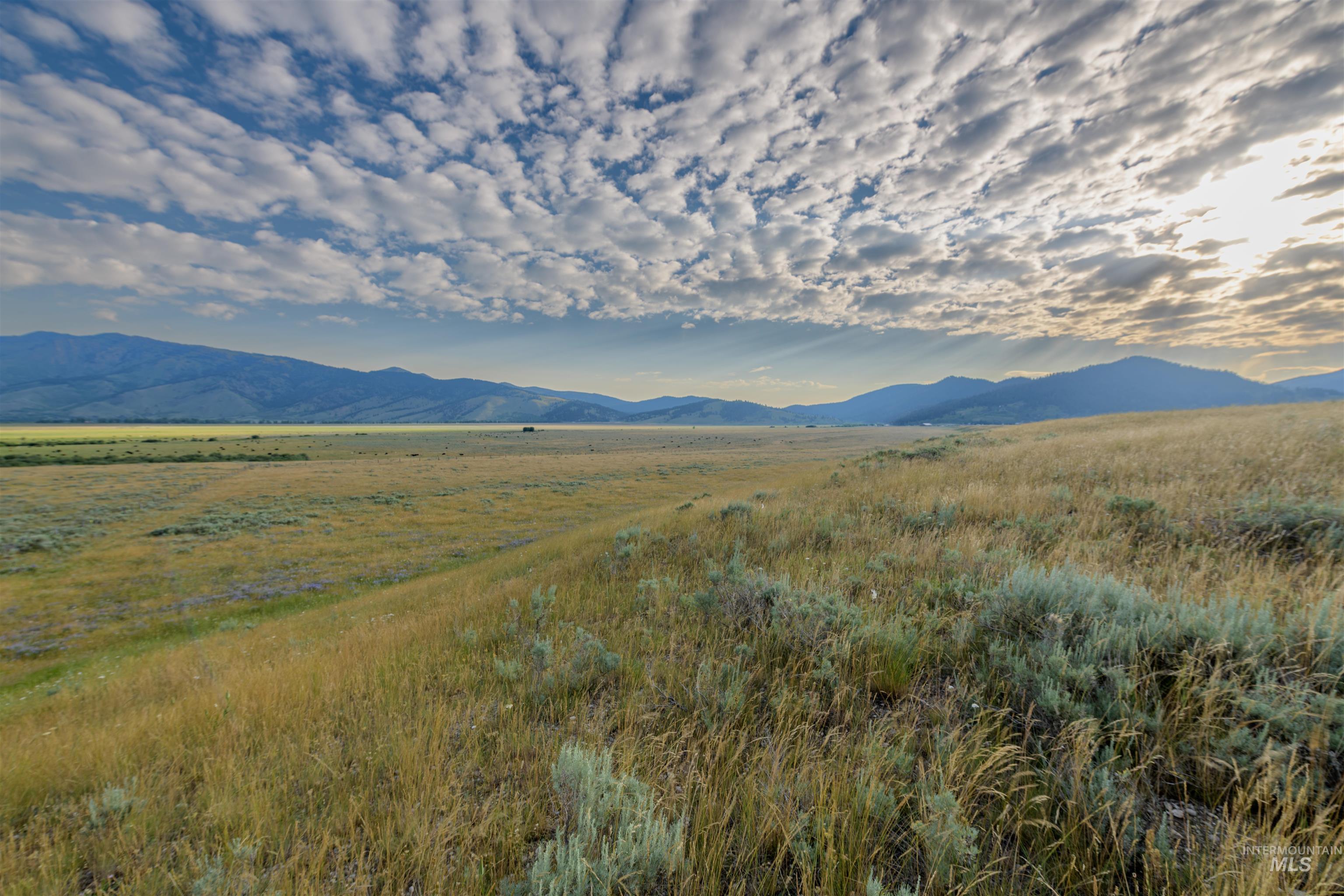 5215 Highway 20, Island Park, Idaho 83429, 3 Bedrooms, 1 Bathroom, Farm & Ranch For Sale, Price $2,850,000,MLS 98975004