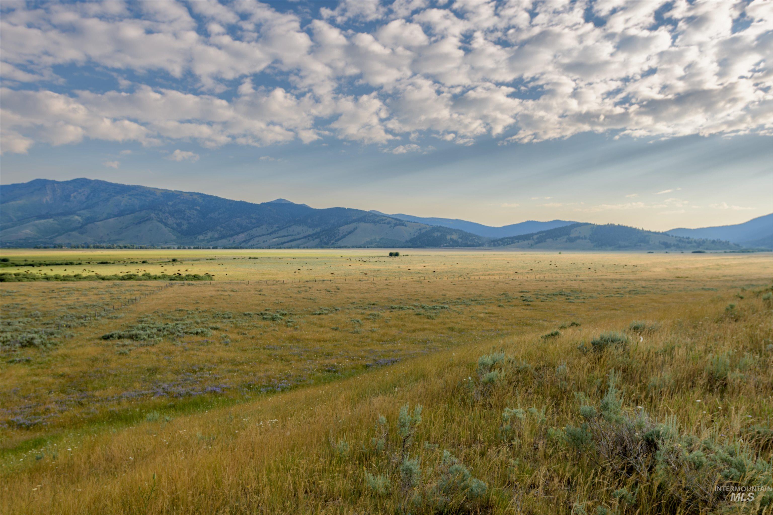 5215 Highway 20, Island Park, Idaho 83429, 3 Bedrooms, 1 Bathroom, Farm & Ranch For Sale, Price $2,850,000,MLS 98975004