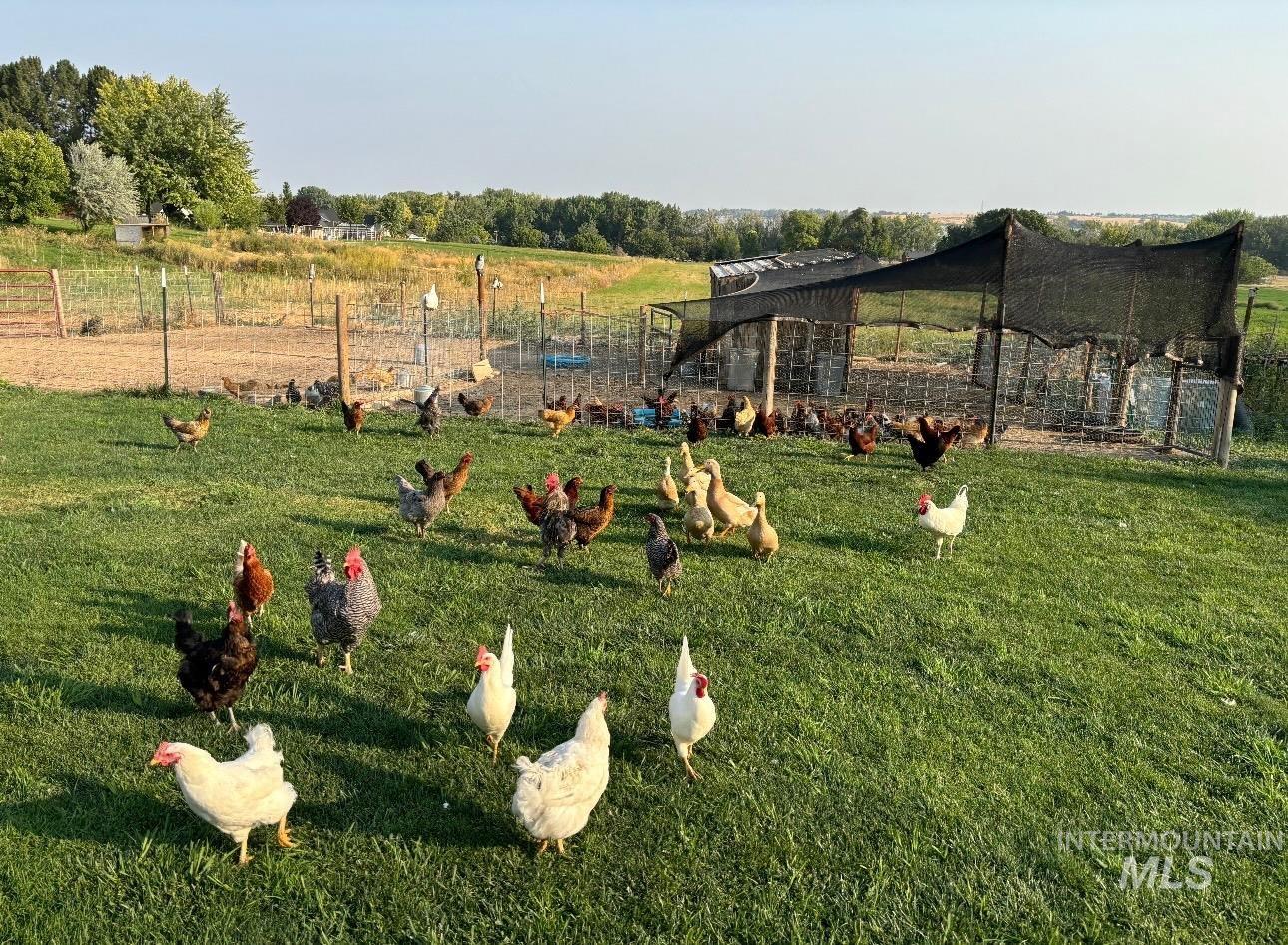 10590 Duck Ln, Nampa, Idaho 83686, 4 Bedrooms, 3 Bathrooms, Residential For Sale, Price $3,200,000,MLS 98975017