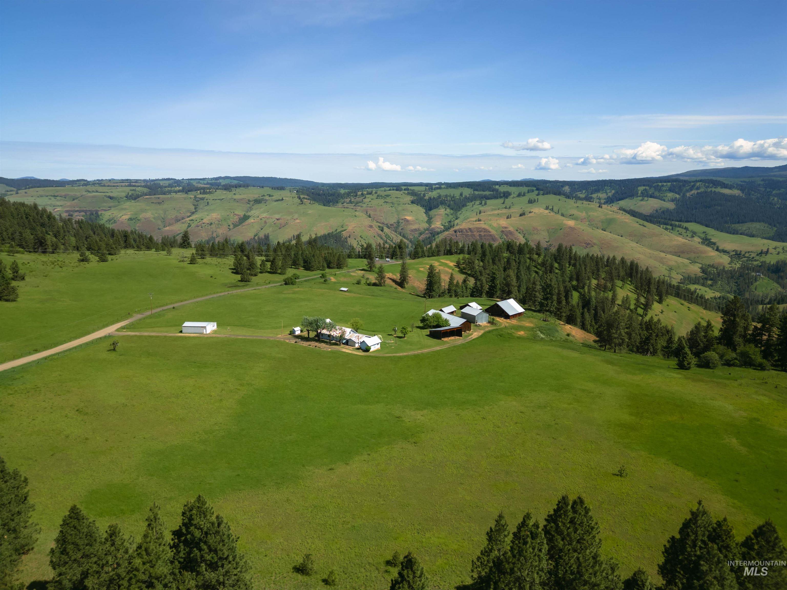 216 Ulmer Road, Kooskia, Idaho 83539, 3 Bedrooms, 1.5 Bathrooms, Farm & Ranch For Sale, Price $2,500,000,MLS 98975036
