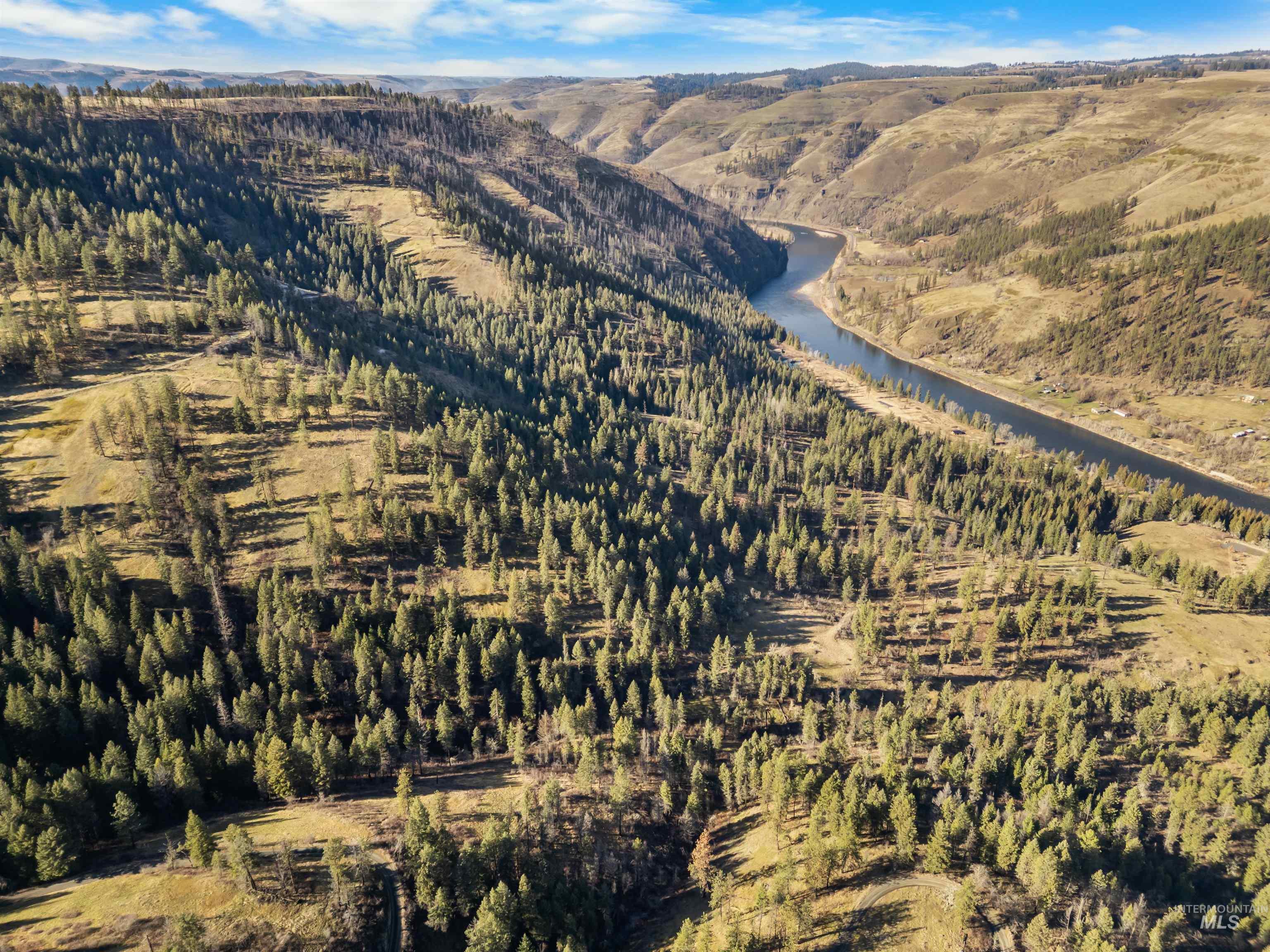 216 Ulmer Road, Kooskia, Idaho 83539, 3 Bedrooms, 1.5 Bathrooms, Farm & Ranch For Sale, Price $2,500,000,MLS 98975036