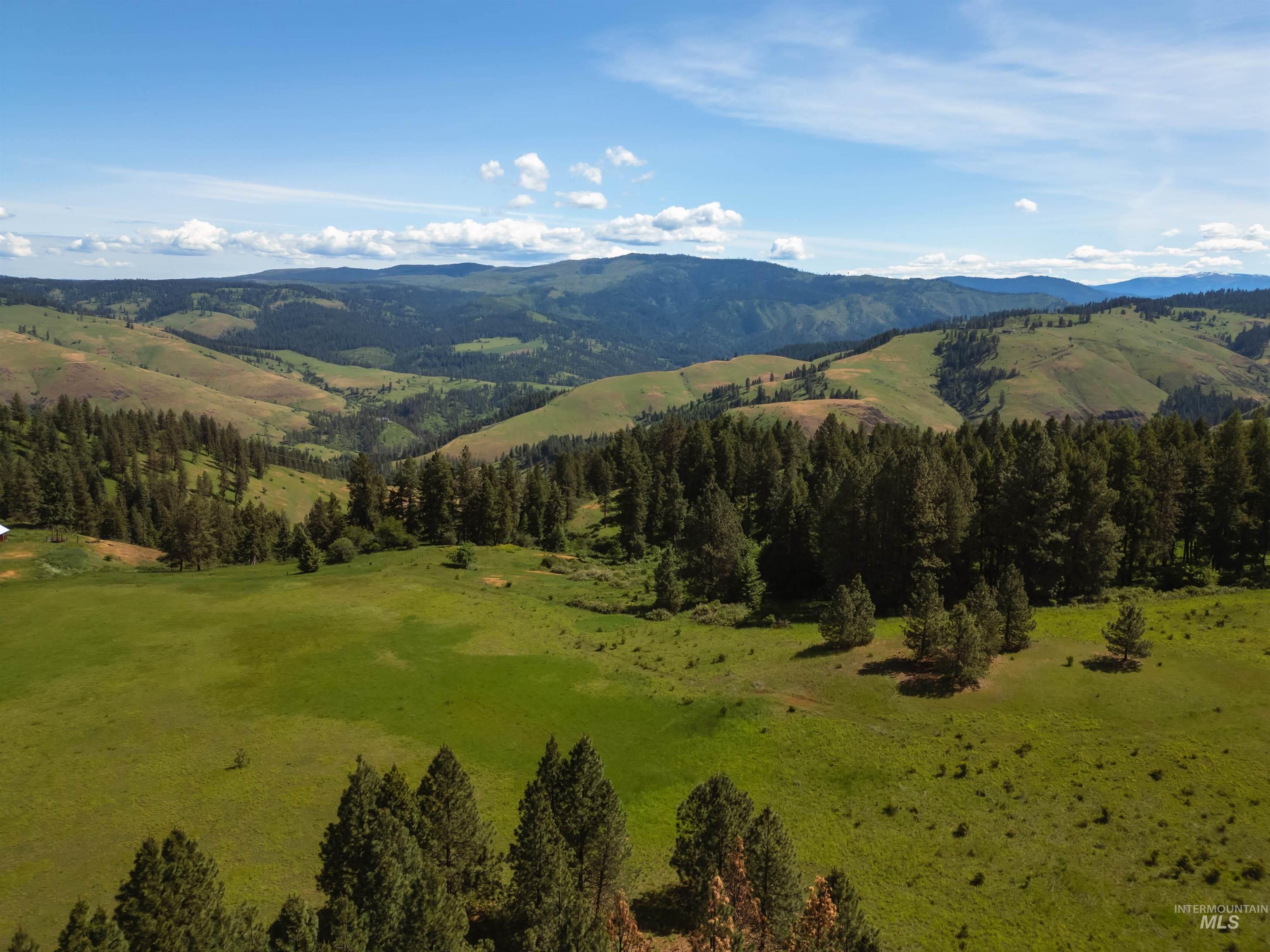 216 Ulmer Road, Kooskia, Idaho 83539, 3 Bedrooms, 1.5 Bathrooms, Farm & Ranch For Sale, Price $2,500,000,MLS 98975036