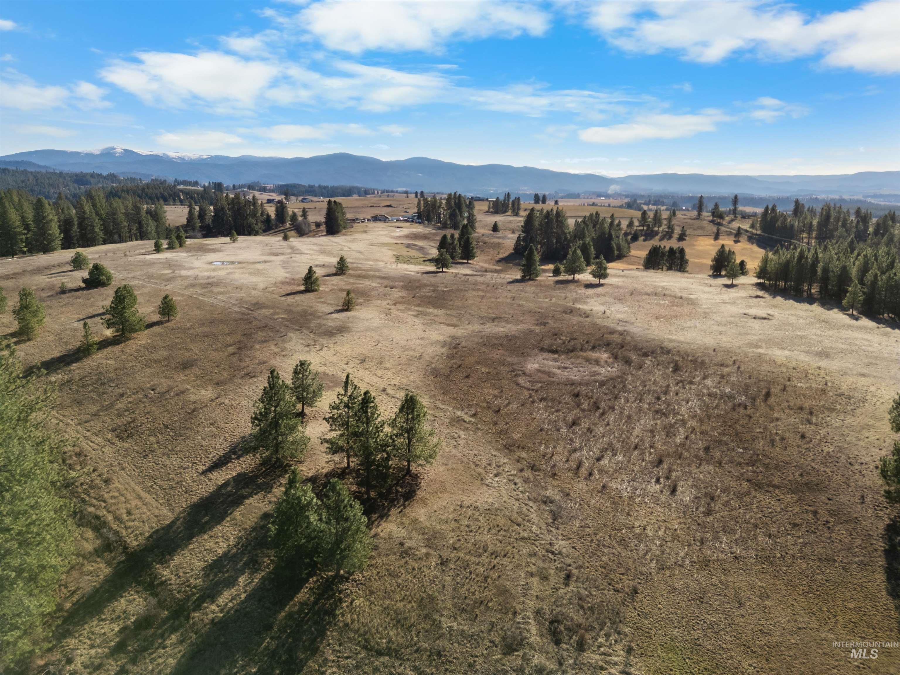 216 Ulmer Road, Kooskia, Idaho 83539, 3 Bedrooms, 1.5 Bathrooms, Farm & Ranch For Sale, Price $2,500,000,MLS 98975036