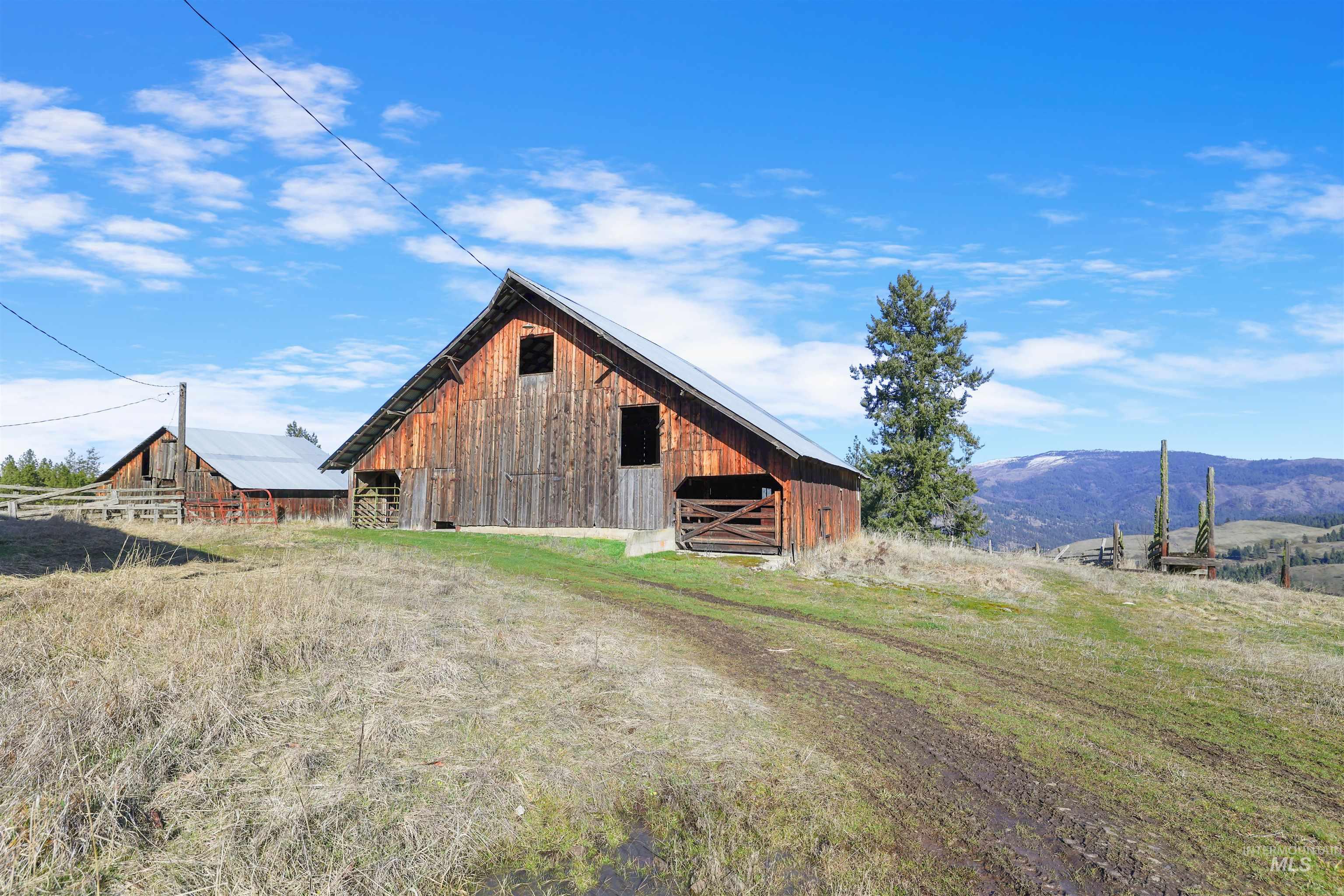 216 Ulmer Road, Kooskia, Idaho 83539, 3 Bedrooms, 1.5 Bathrooms, Farm & Ranch For Sale, Price $2,500,000,MLS 98975036