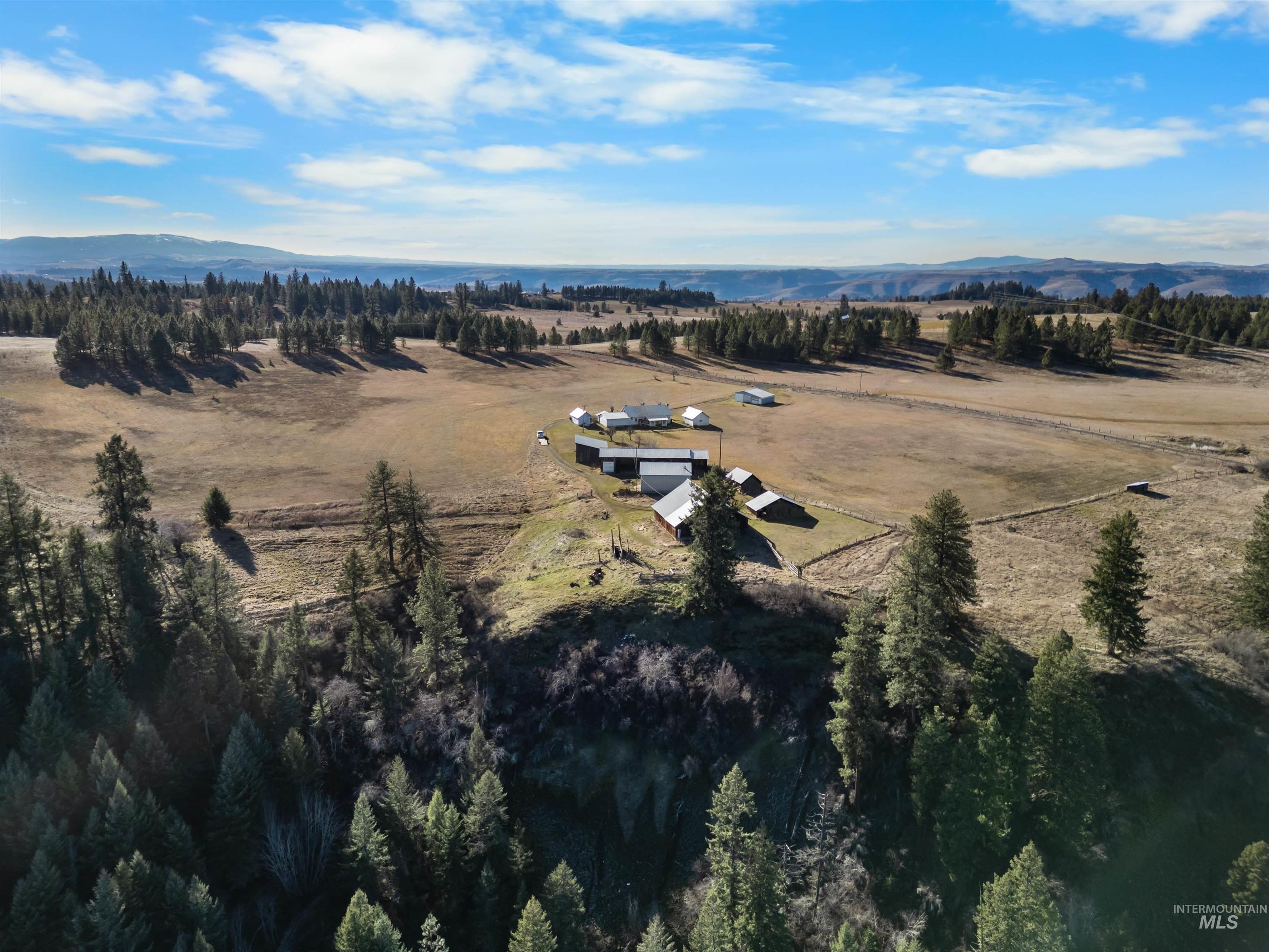 216 Ulmer Road, Kooskia, Idaho 83539, 3 Bedrooms, 1.5 Bathrooms, Farm & Ranch For Sale, Price $2,500,000,MLS 98975036