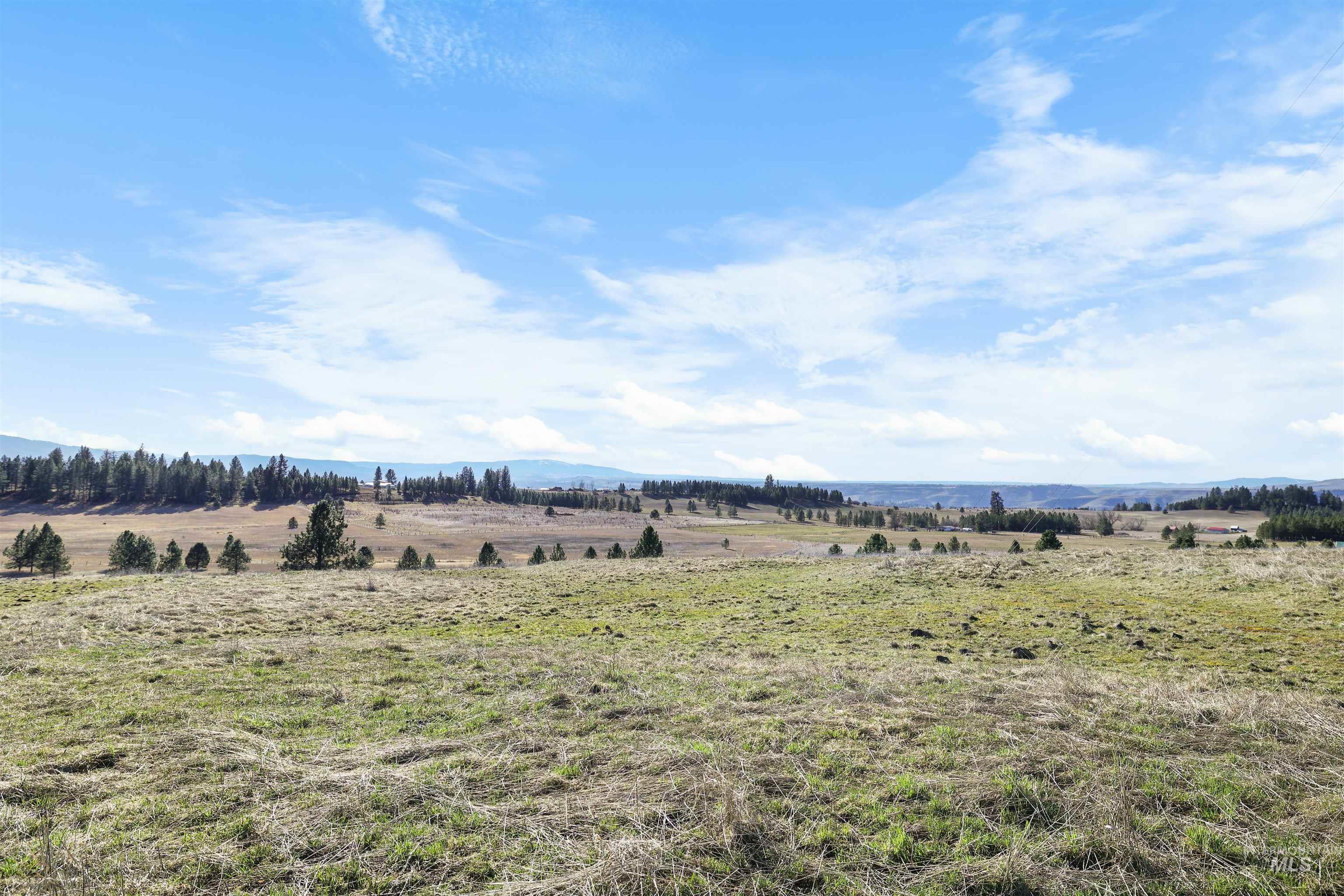 216 Ulmer Road, Kooskia, Idaho 83539, 3 Bedrooms, 1.5 Bathrooms, Farm & Ranch For Sale, Price $2,500,000,MLS 98975036