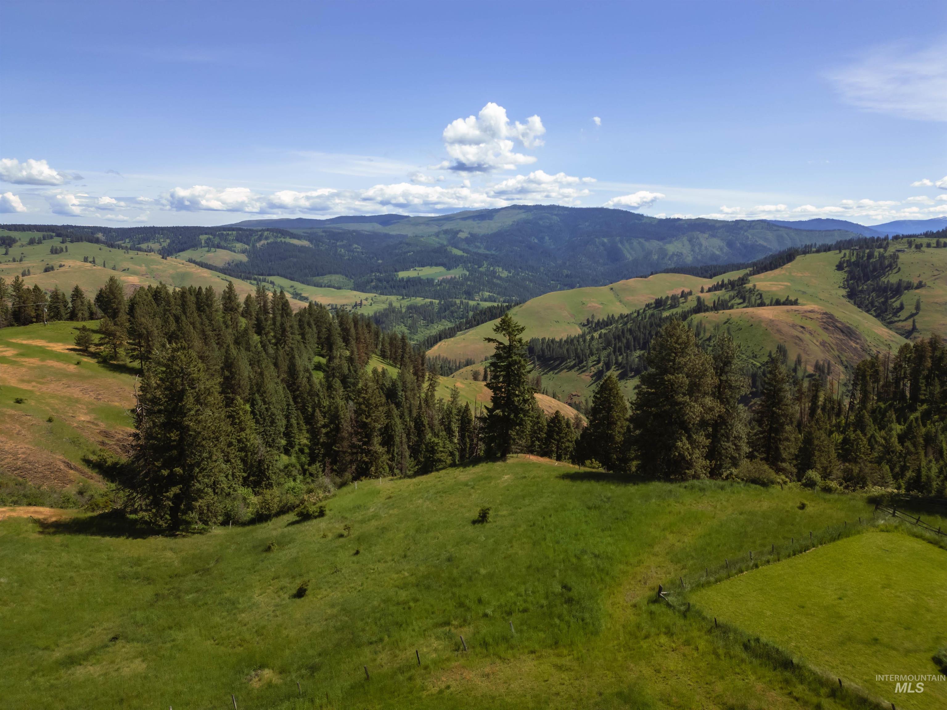 216 Ulmer Road, Kooskia, Idaho 83539, 3 Bedrooms, 1.5 Bathrooms, Farm & Ranch For Sale, Price $2,500,000,MLS 98975036