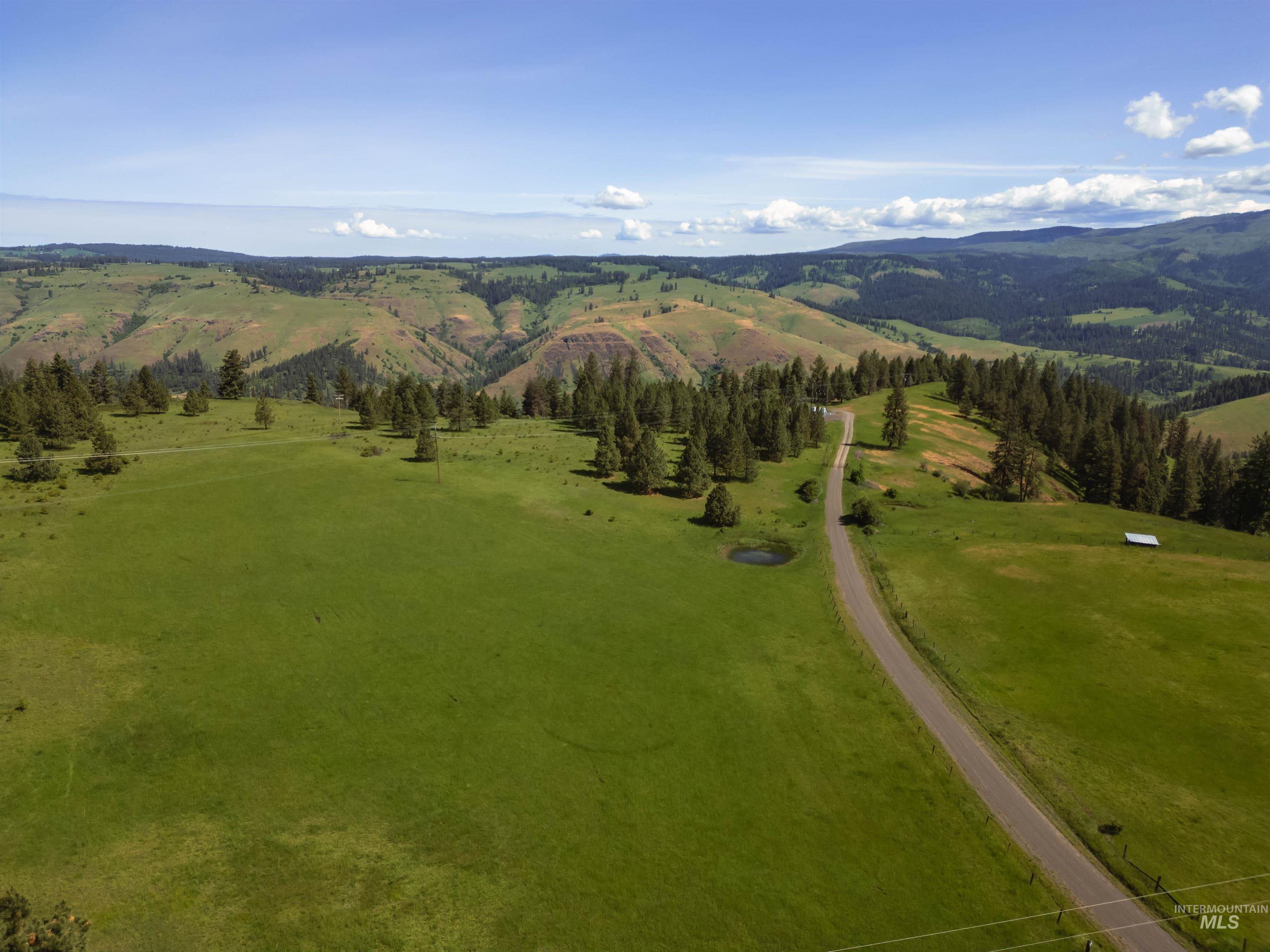 216 Ulmer Road, Kooskia, Idaho 83539, 3 Bedrooms, 1.5 Bathrooms, Farm & Ranch For Sale, Price $2,500,000,MLS 98975036