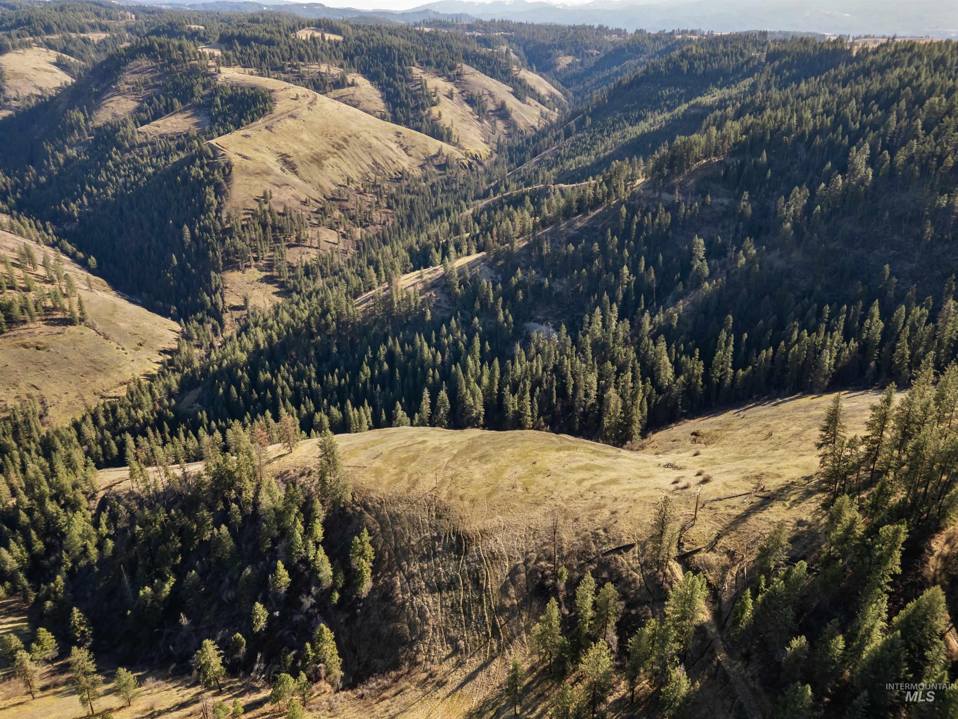 216 Ulmer Road, Kooskia, Idaho 83539, 3 Bedrooms, 1.5 Bathrooms, Farm & Ranch For Sale, Price $2,500,000,MLS 98975036