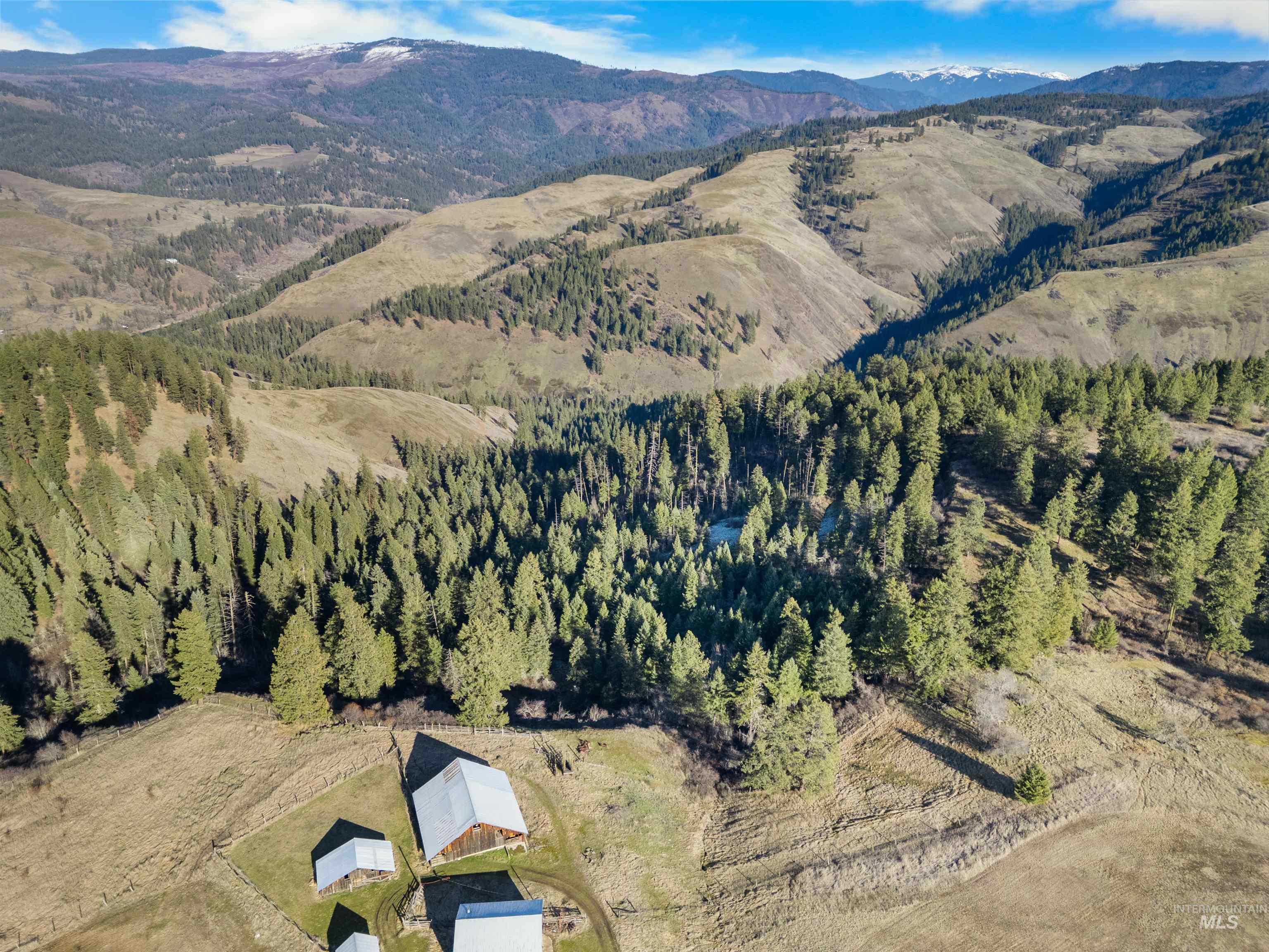 216 Ulmer Road, Kooskia, Idaho 83539, 3 Bedrooms, 1.5 Bathrooms, Residential For Sale, Price $2,500,000,MLS 98975037