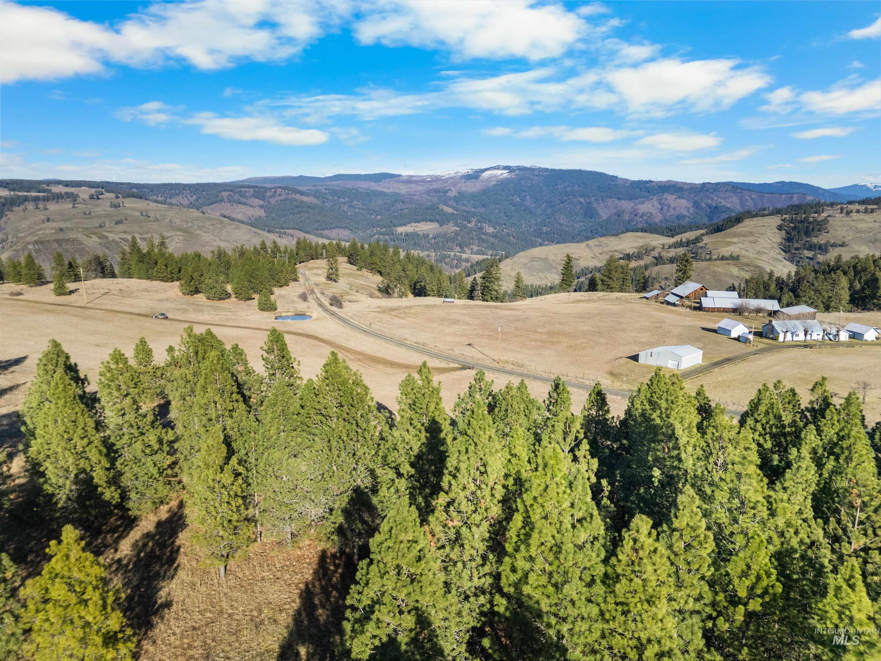 216 Ulmer Road, Kooskia, Idaho 83539, 3 Bedrooms, 1.5 Bathrooms, Residential For Sale, Price $2,500,000,MLS 98975037
