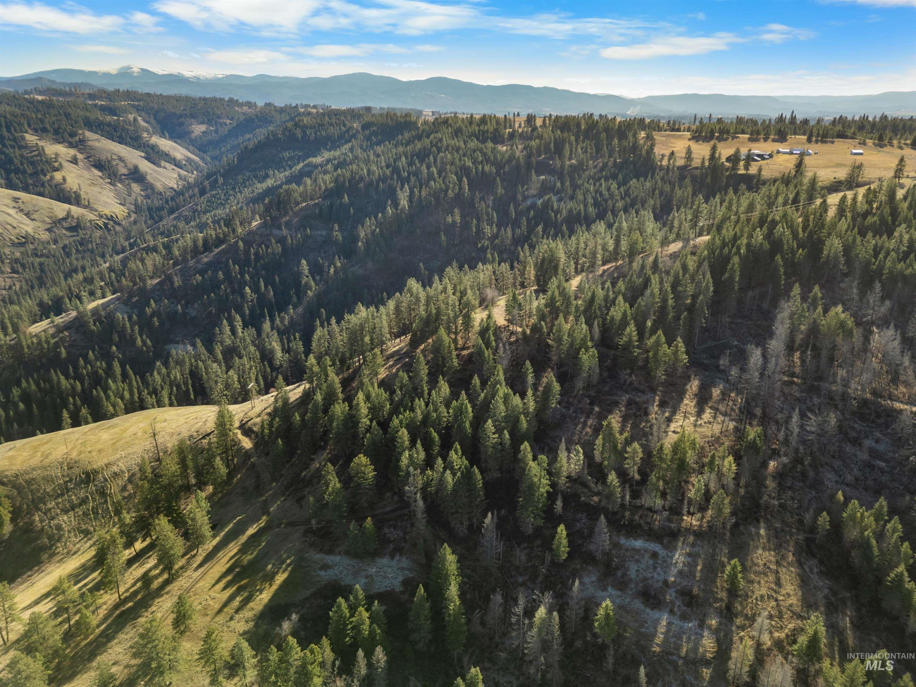 216 Ulmer Road, Kooskia, Idaho 83539, 3 Bedrooms, 1.5 Bathrooms, Residential For Sale, Price $2,500,000,MLS 98975037