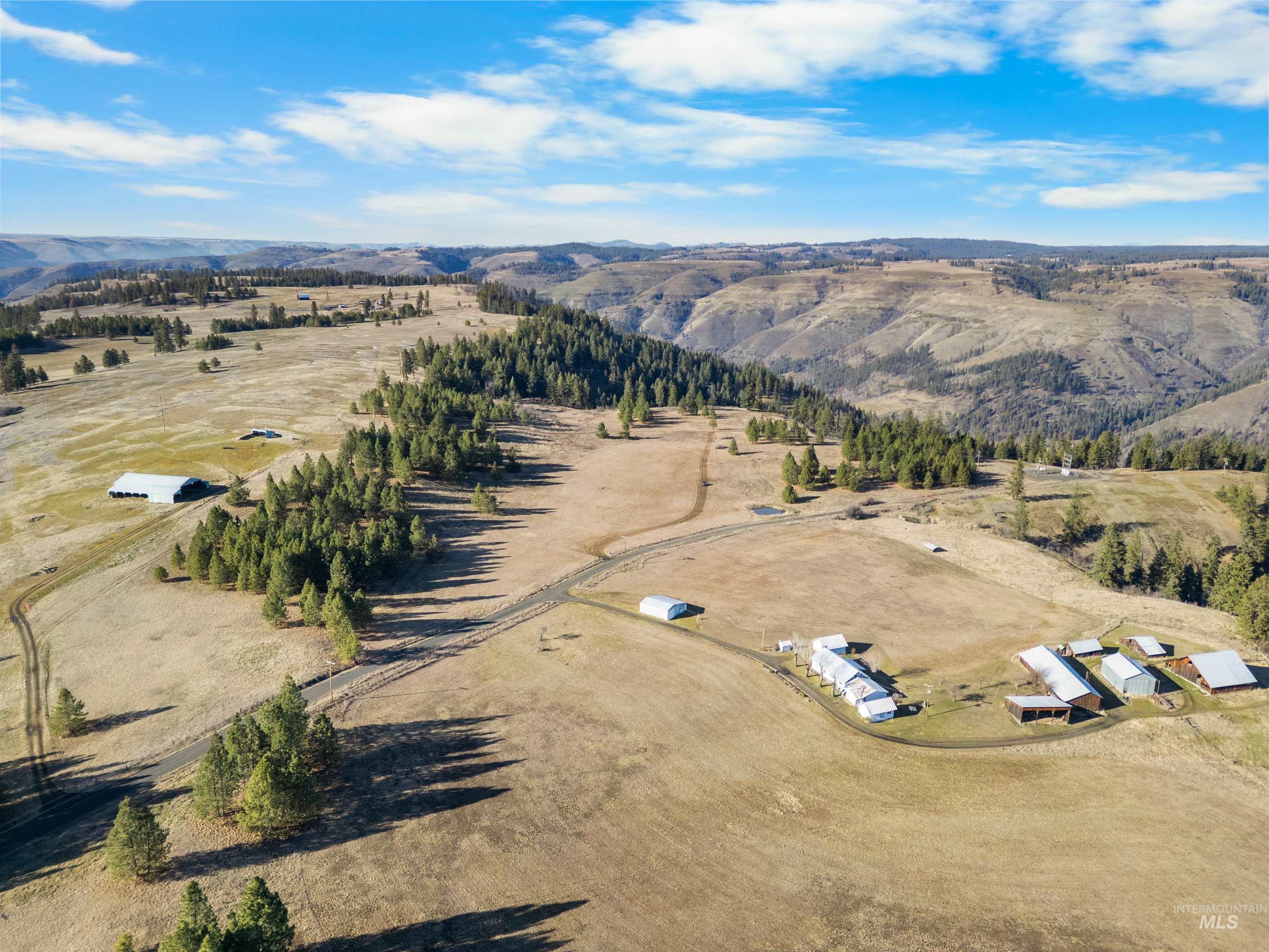 216 Ulmer Road, Kooskia, Idaho 83539, 3 Bedrooms, 1.5 Bathrooms, Residential For Sale, Price $2,500,000,MLS 98975037