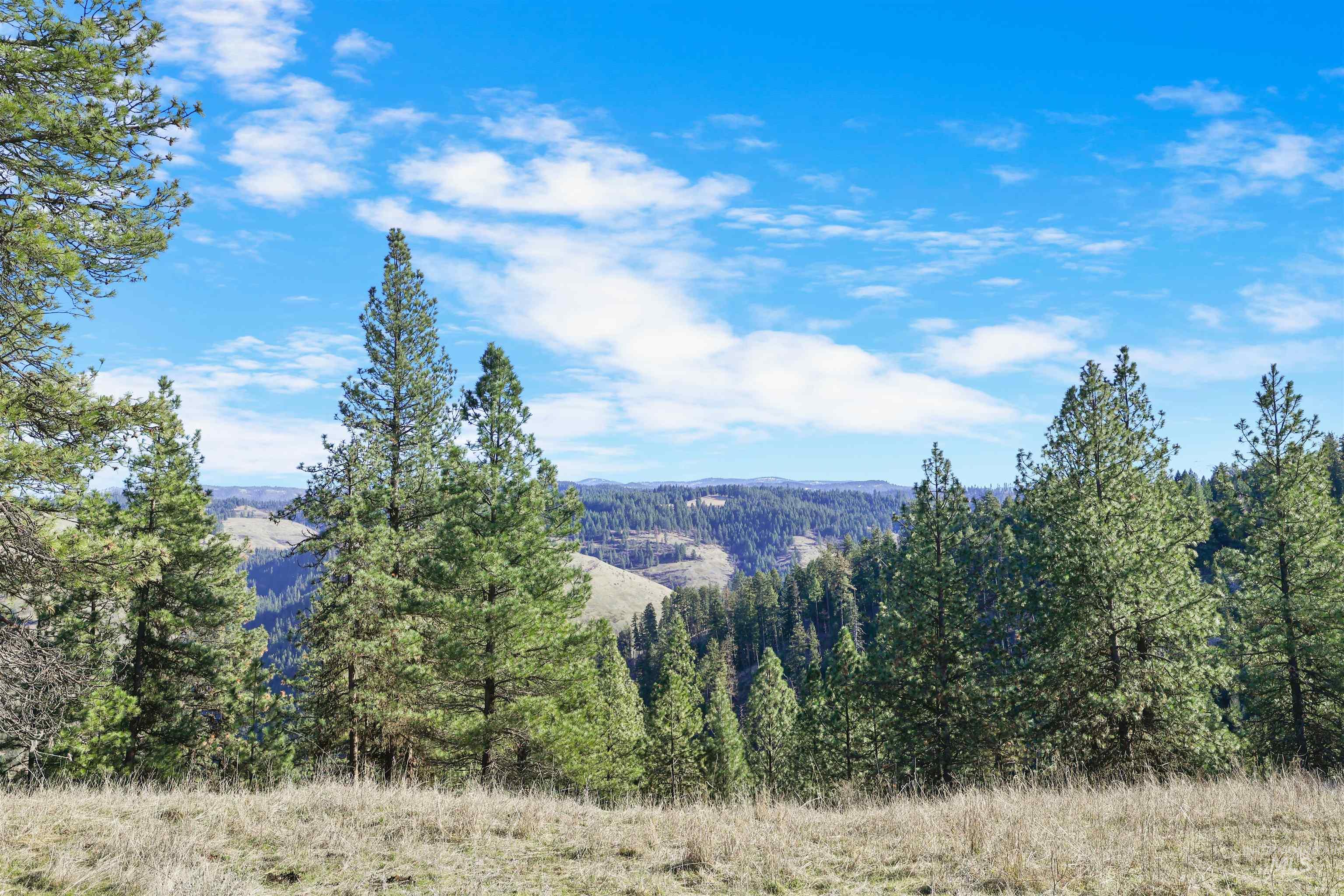 216 Ulmer Road, Kooskia, Idaho 83539, 3 Bedrooms, 1.5 Bathrooms, Residential For Sale, Price $2,500,000,MLS 98975037