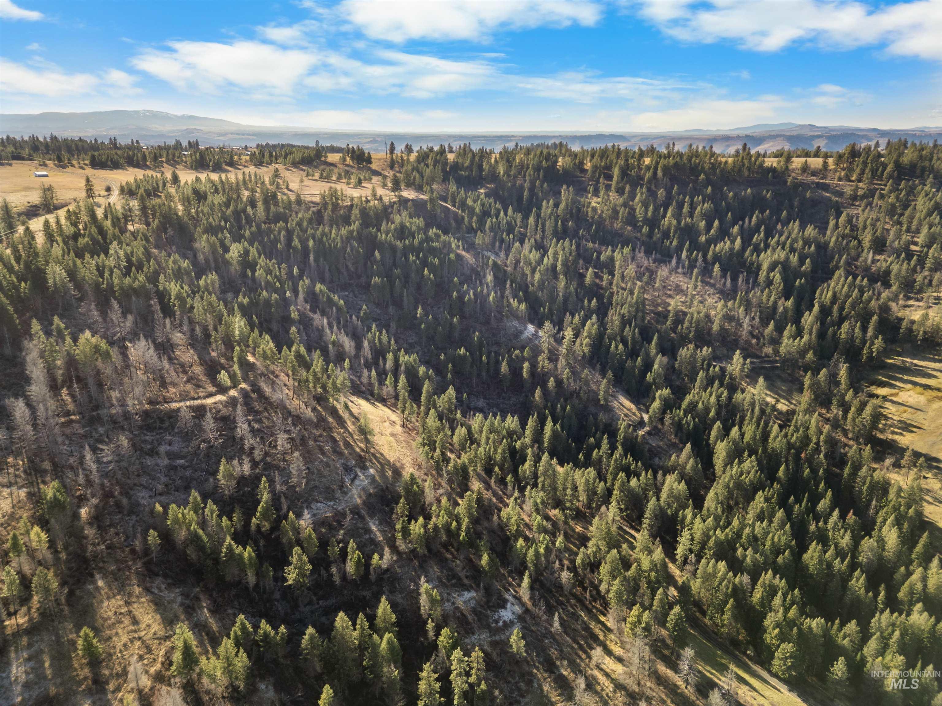 216 Ulmer Road, Kooskia, Idaho 83539, 3 Bedrooms, 1.5 Bathrooms, Residential For Sale, Price $2,500,000,MLS 98975037