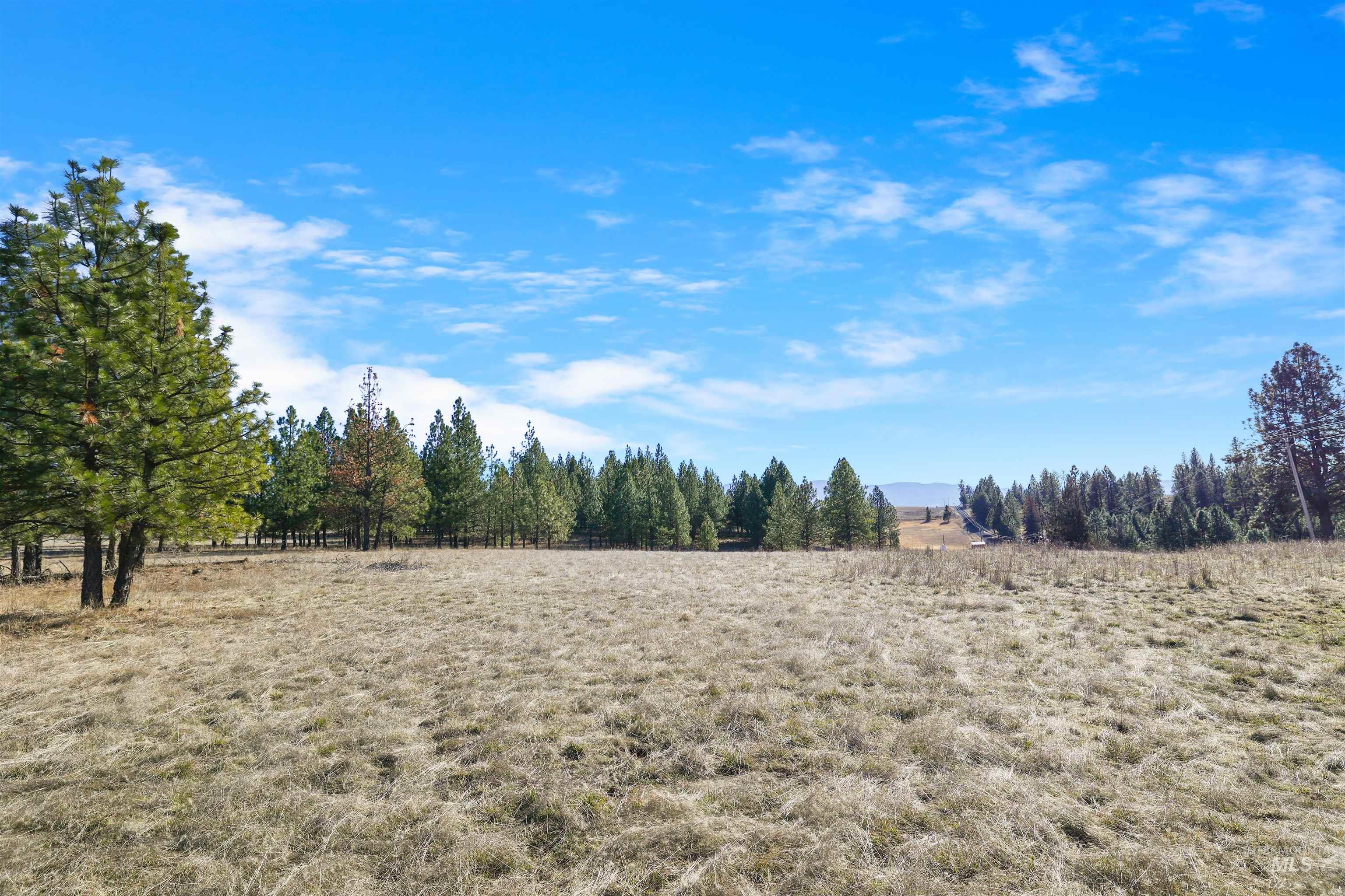216 Ulmer Road, Kooskia, Idaho 83539, 3 Bedrooms, 1.5 Bathrooms, Residential For Sale, Price $2,500,000,MLS 98975037