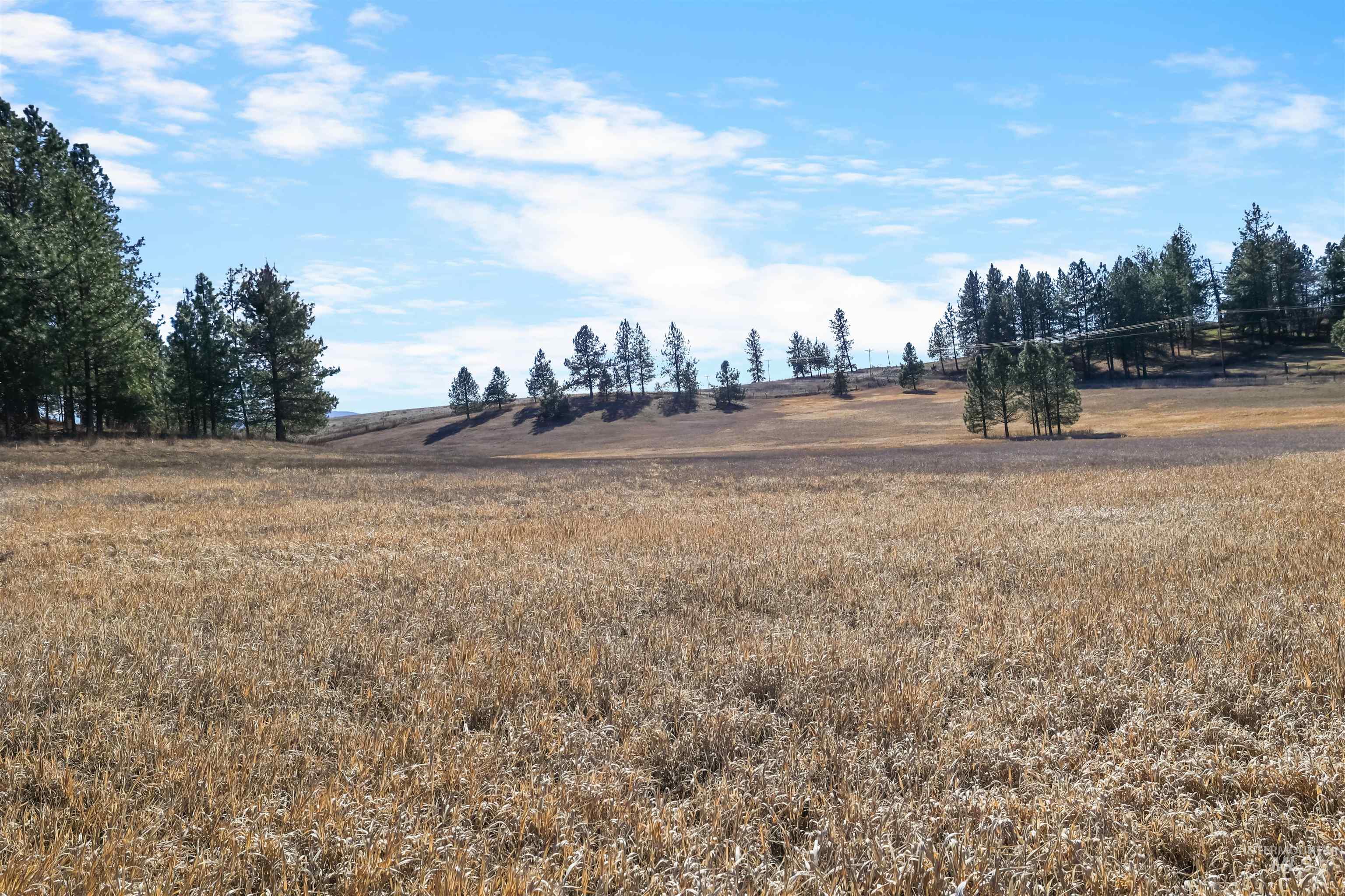 216 Ulmer Road, Kooskia, Idaho 83539, 3 Bedrooms, 1.5 Bathrooms, Residential For Sale, Price $2,500,000,MLS 98975037