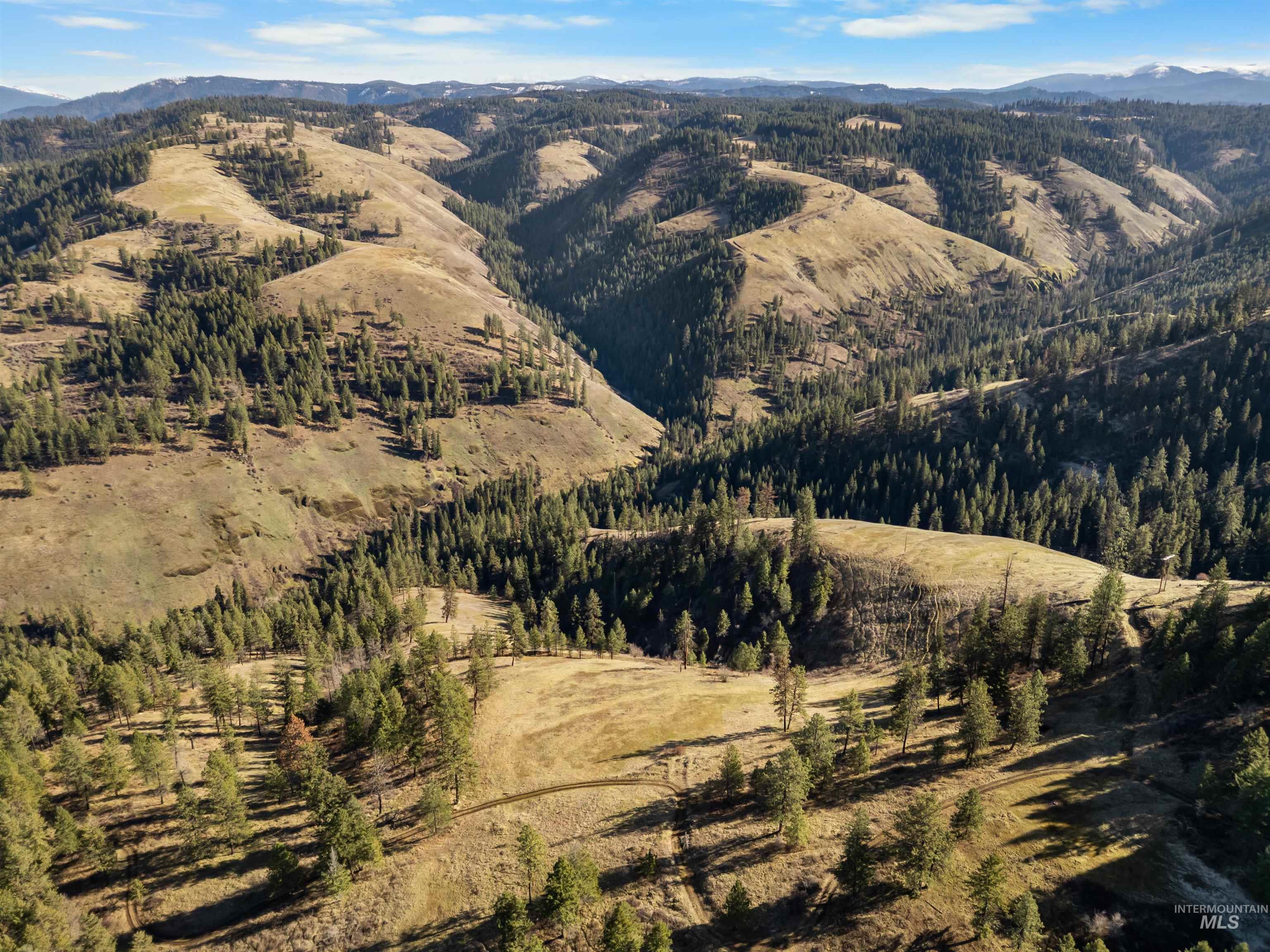 216 Ulmer Road, Kooskia, Idaho 83539, 3 Bedrooms, 1.5 Bathrooms, Residential For Sale, Price $2,500,000,MLS 98975037