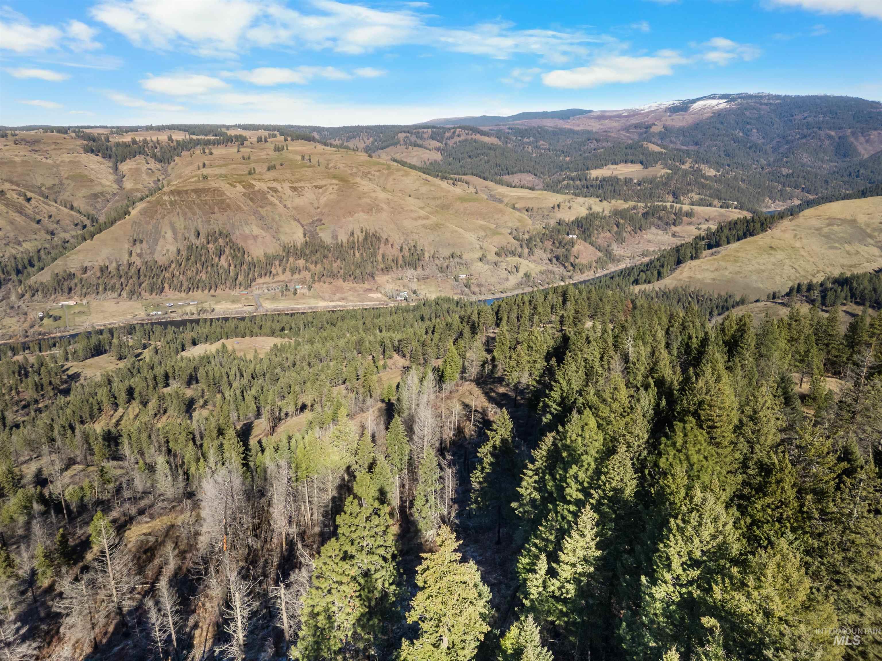 216 Ulmer Road, Kooskia, Idaho 83539, 3 Bedrooms, 1.5 Bathrooms, Residential For Sale, Price $2,500,000,MLS 98975037