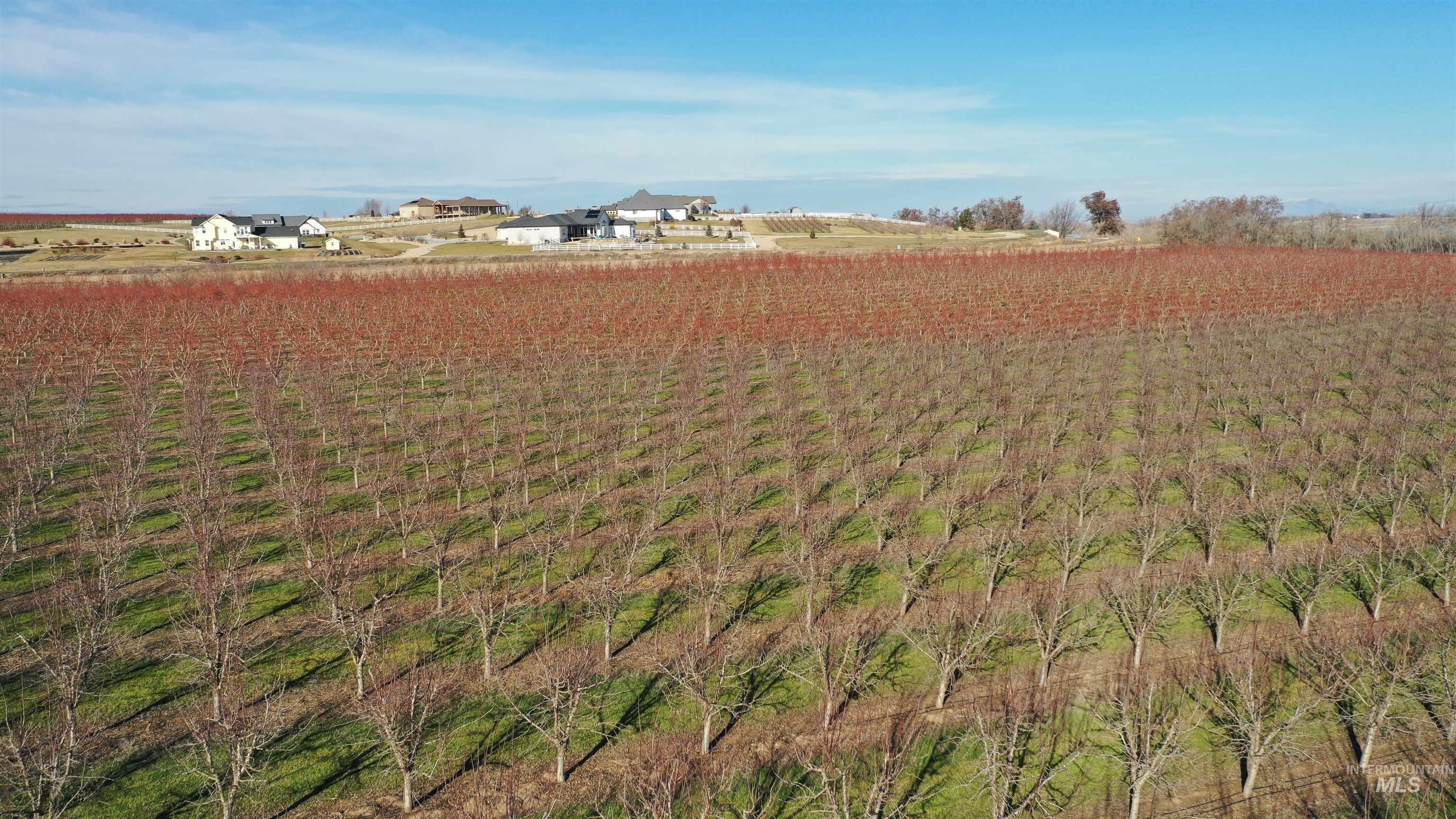 TBD Riverside Road, Caldwell, Idaho 83607, Land For Sale, Price $2,750,000,MLS 98975223