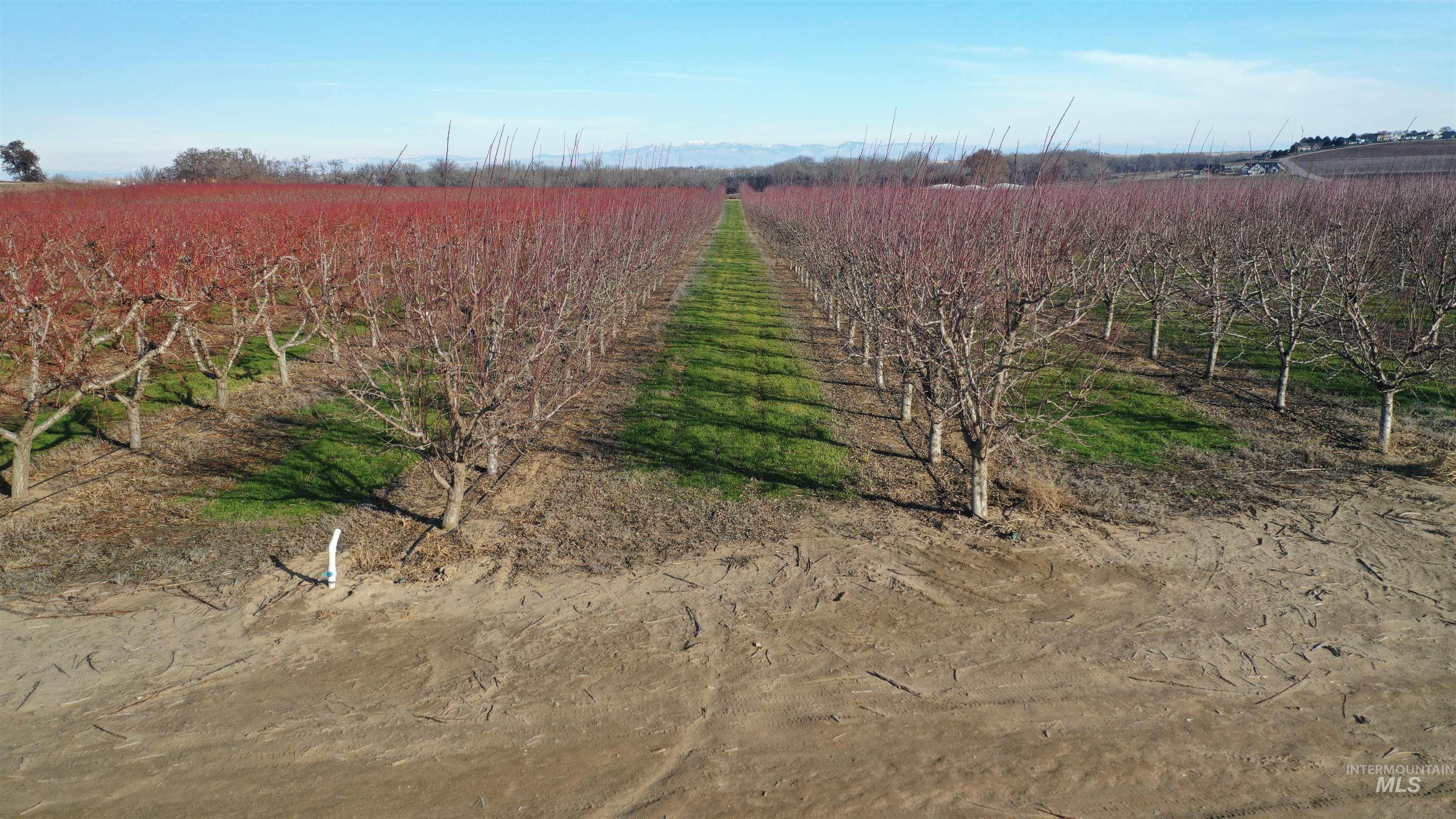 TBD Riverside Road, Caldwell, Idaho 83607, Land For Sale, Price $2,750,000,MLS 98975223