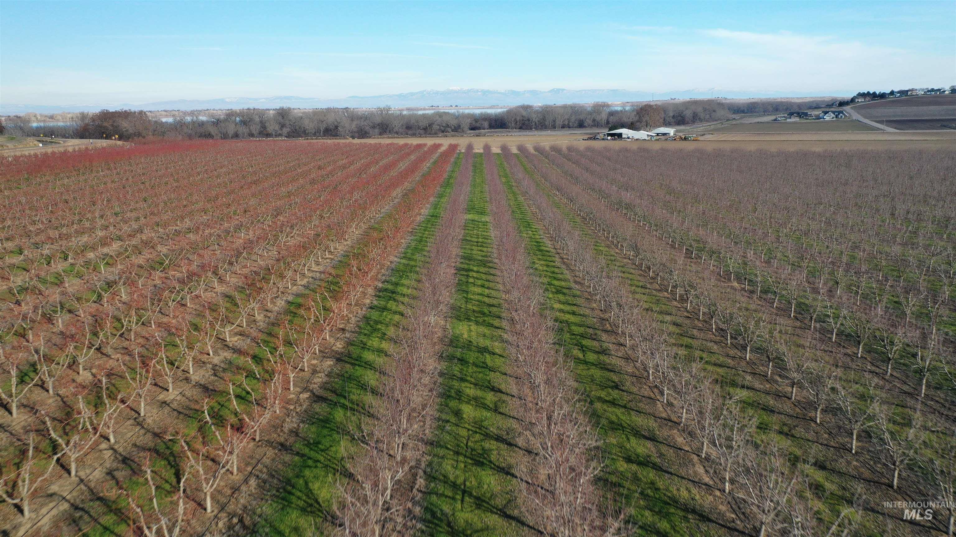 TBD Riverside Road, Caldwell, Idaho 83607, Land For Sale, Price $2,750,000,MLS 98975224