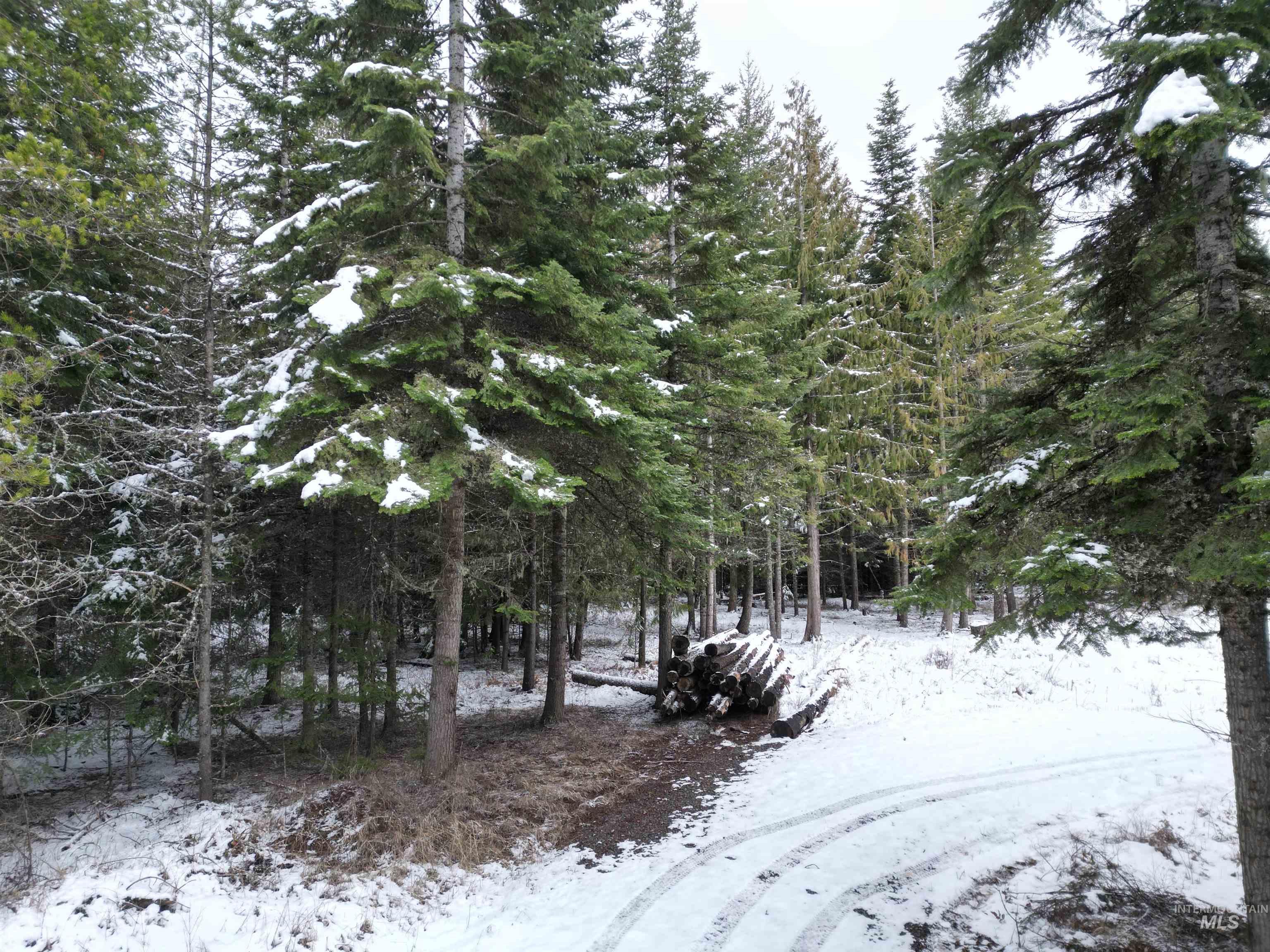 80 Bugling Elk Lane, Weippe, Idaho 83553, Land For Sale, Price $54,900,MLS 98975230