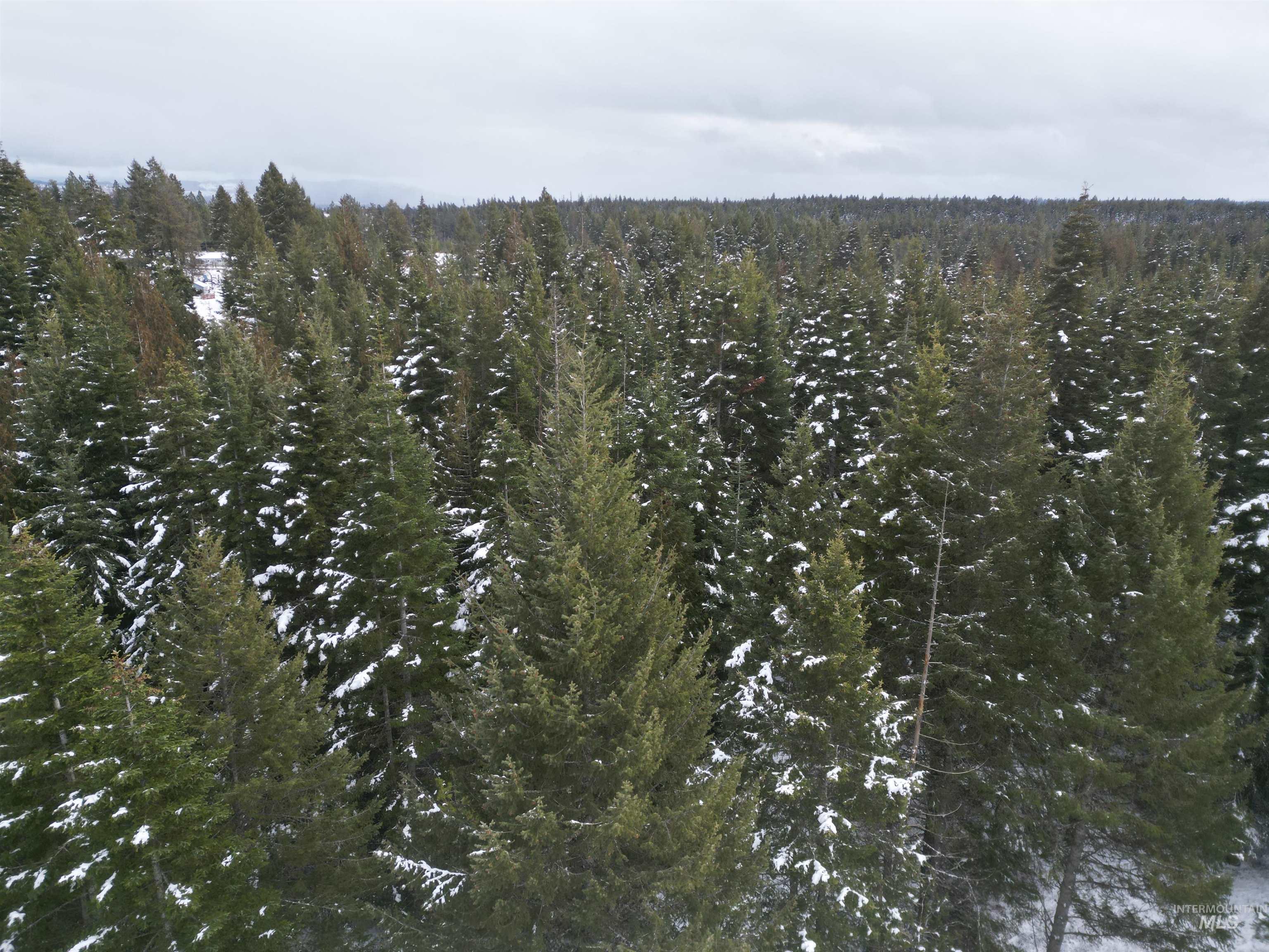 80 Bugling Elk Lane, Weippe, Idaho 83553, Land For Sale, Price $54,900,MLS 98975230