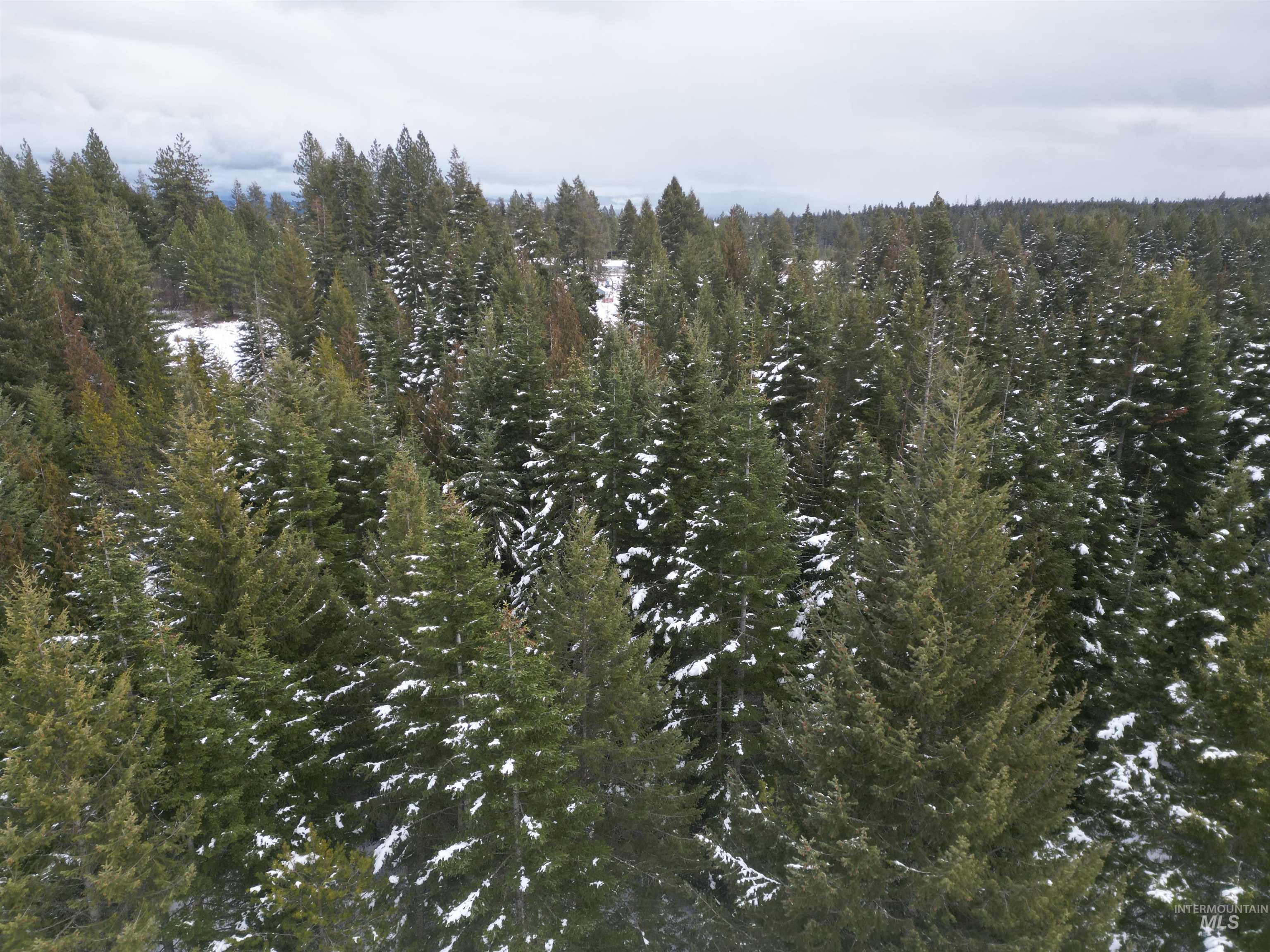 80 Bugling Elk Lane, Weippe, Idaho 83553, Land For Sale, Price $54,900,MLS 98975230