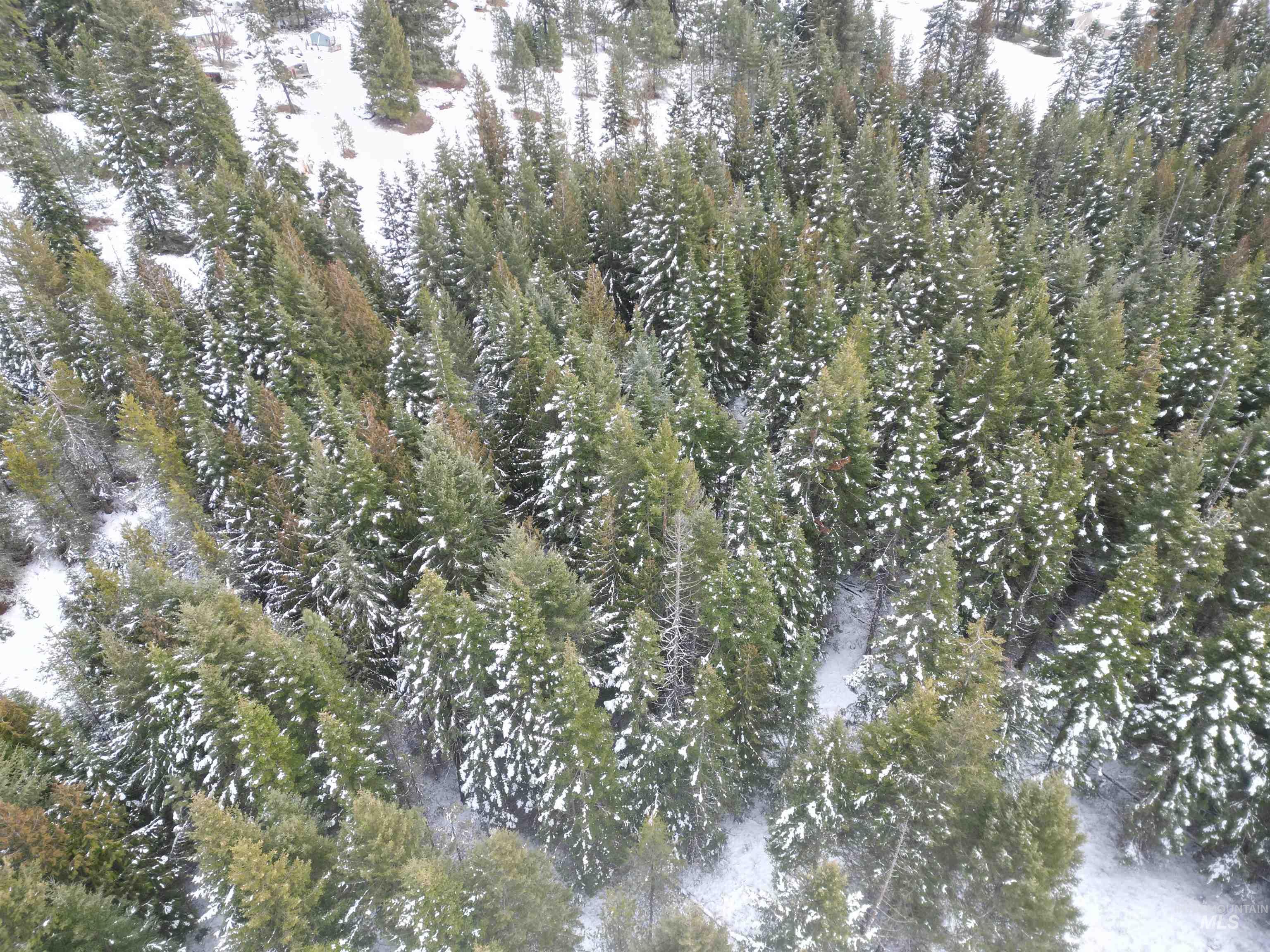 80 Bugling Elk Lane, Weippe, Idaho 83553, Land For Sale, Price $54,900,MLS 98975230