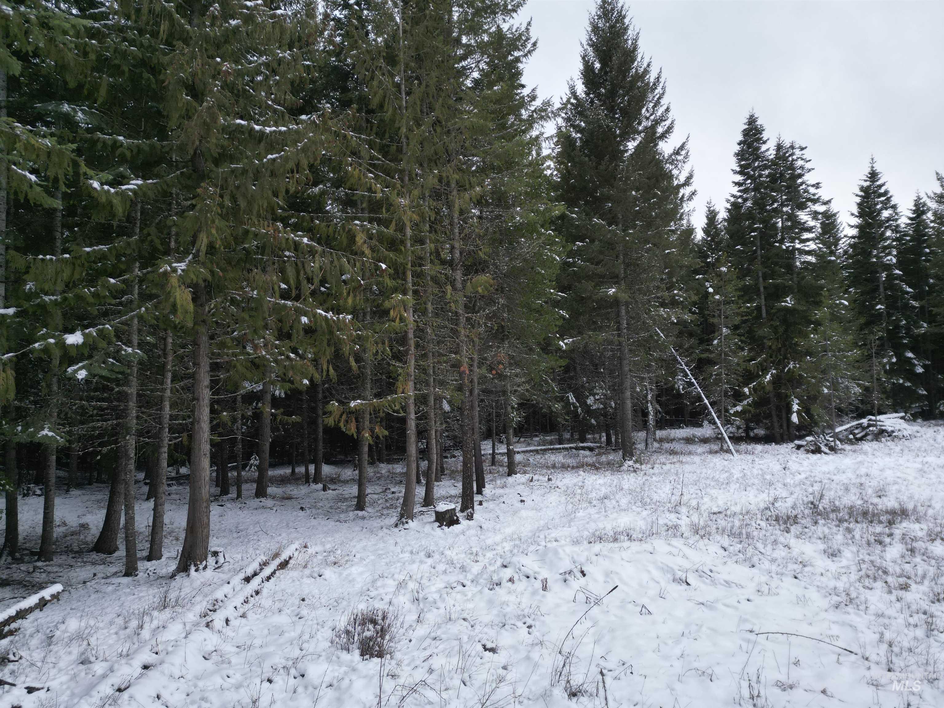 80 Bugling Elk Lane, Weippe, Idaho 83553, Land For Sale, Price $54,900,MLS 98975230