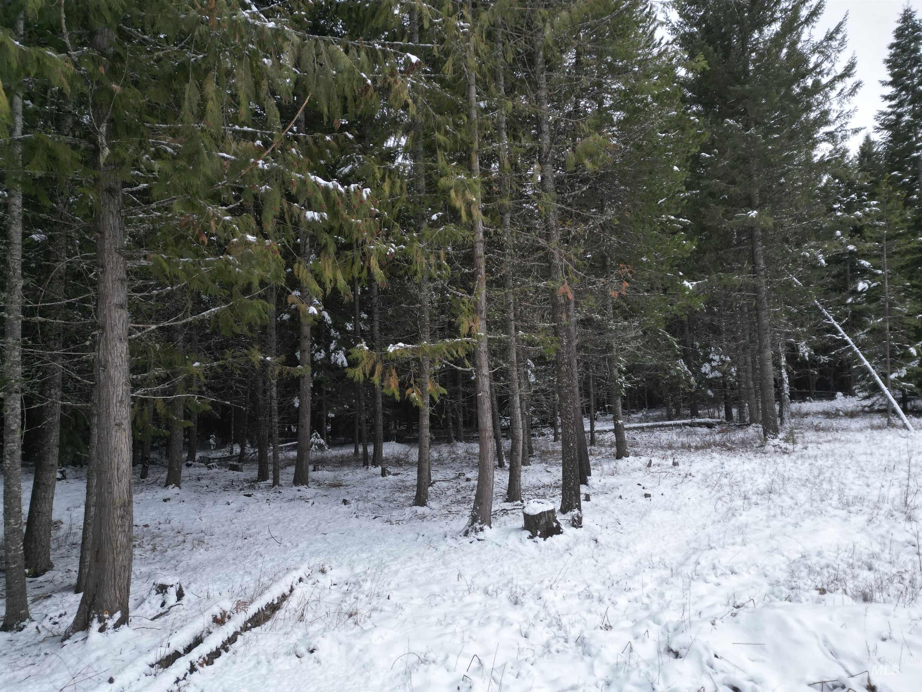 80 Bugling Elk Lane, Weippe, Idaho 83553, Land For Sale, Price $54,900,MLS 98975230