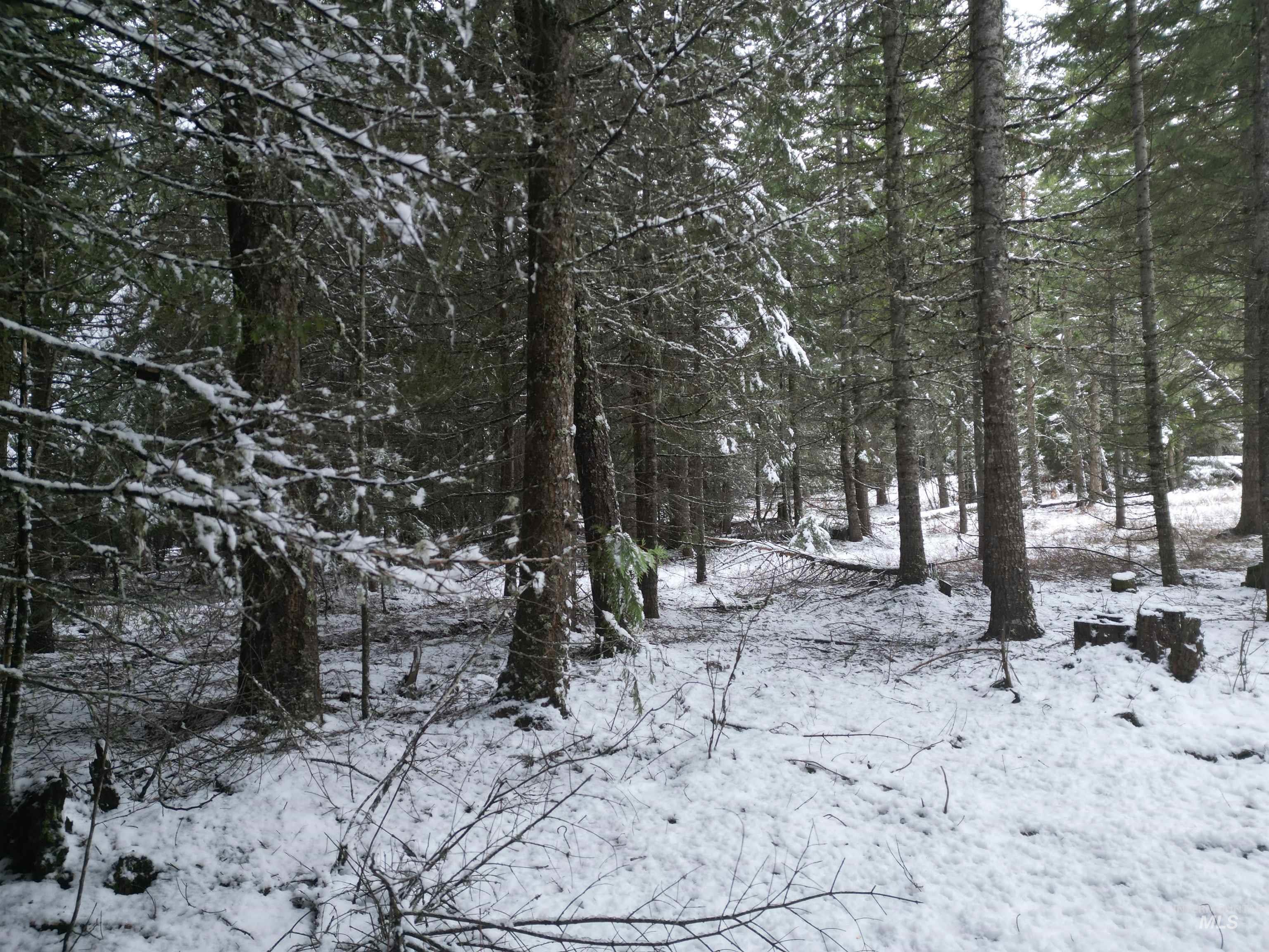 80 Bugling Elk Lane, Weippe, Idaho 83553, Land For Sale, Price $54,900,MLS 98975230