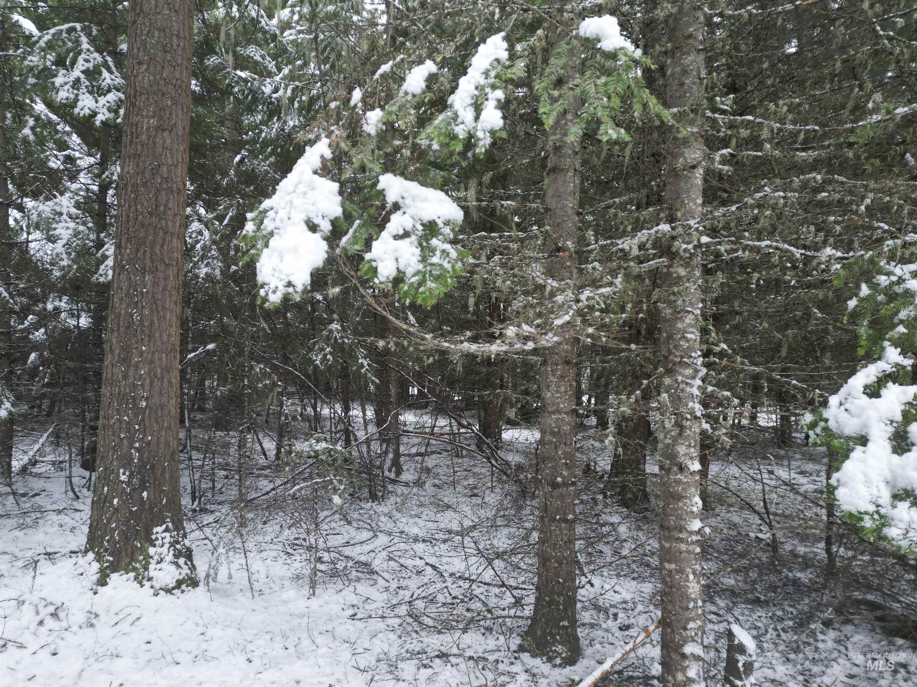 80 Bugling Elk Lane, Weippe, Idaho 83553, Land For Sale, Price $54,900,MLS 98975230