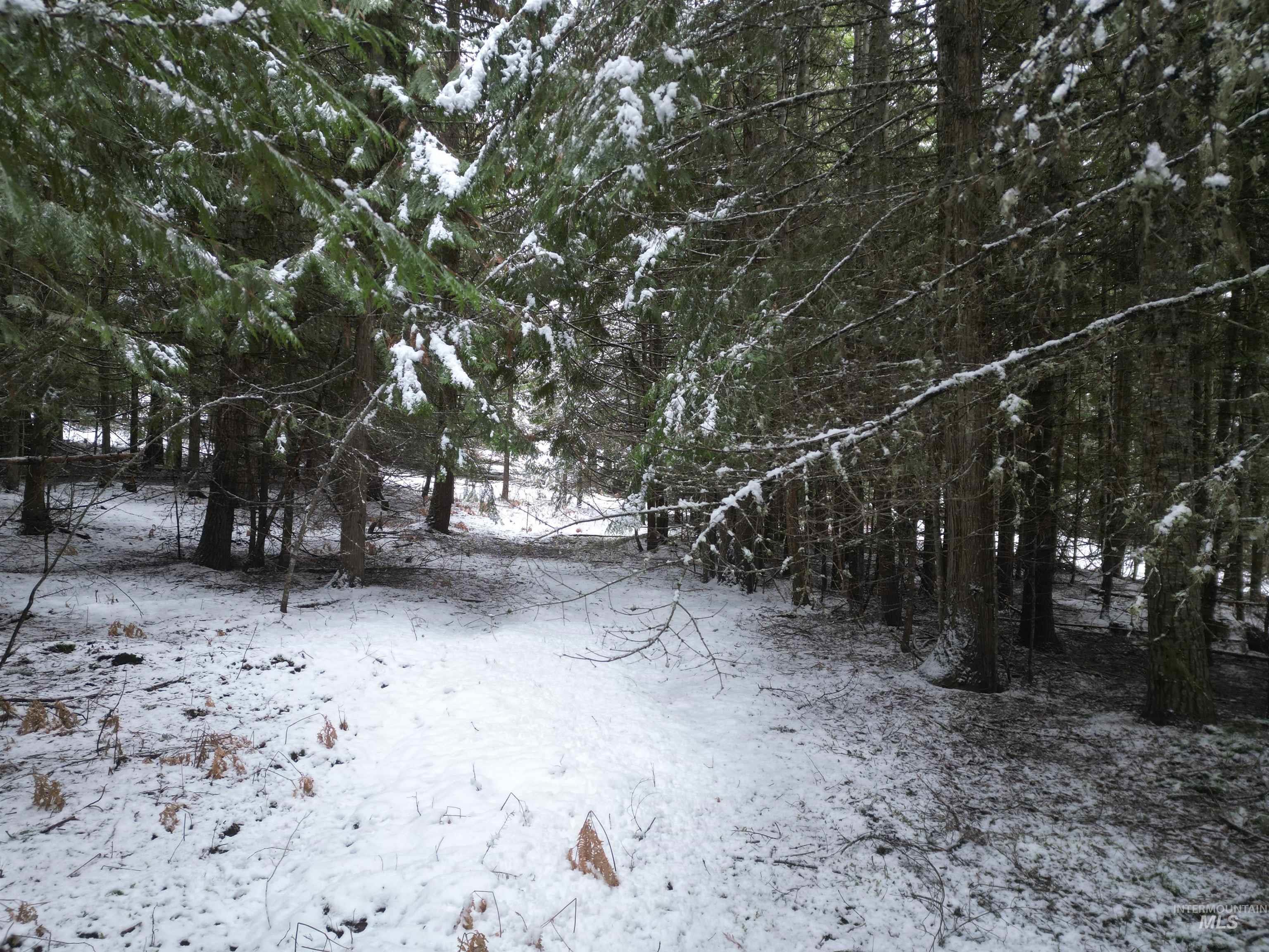 80 Bugling Elk Lane, Weippe, Idaho 83553, Land For Sale, Price $54,900,MLS 98975230