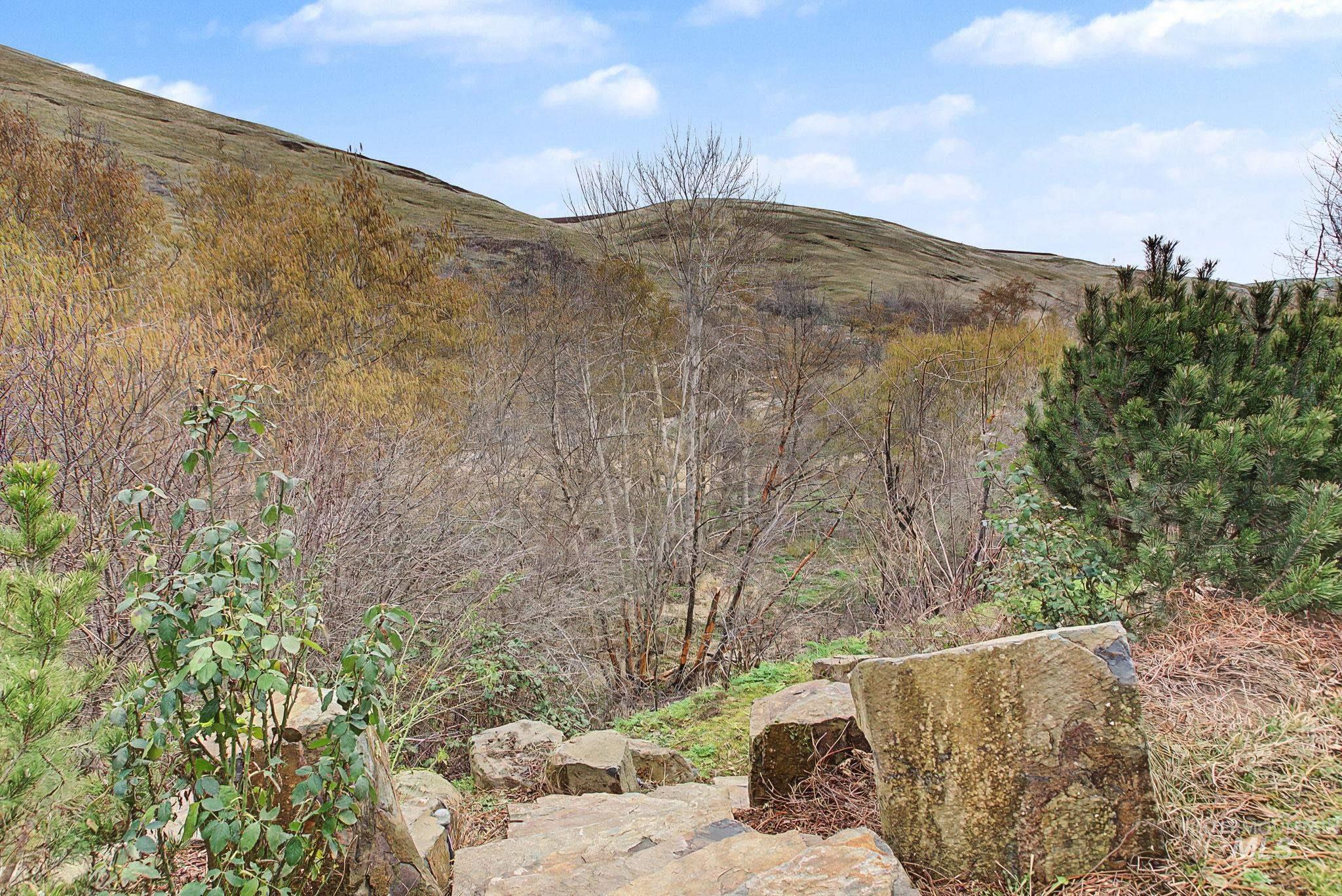 20485 Cottontail Lane, Culdesac, Idaho 83524, 4 Bedrooms, 3 Bathrooms, Residential For Sale, Price $825,000,MLS 98975260