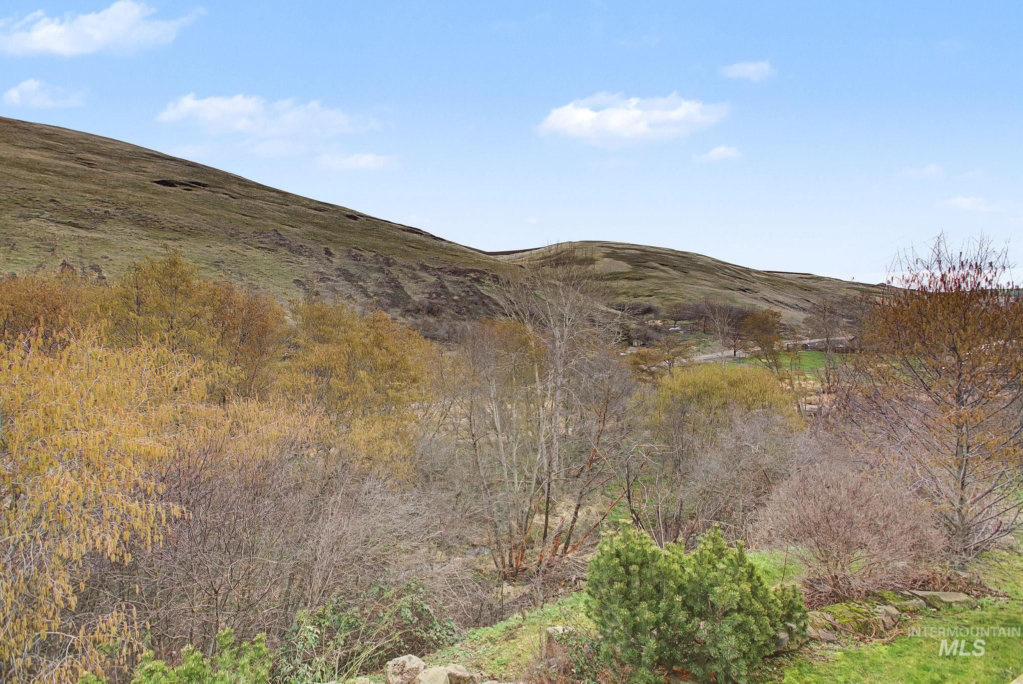 20485 Cottontail Lane, Culdesac, Idaho 83524, 4 Bedrooms, 3 Bathrooms, Residential For Sale, Price $825,000,MLS 98975260