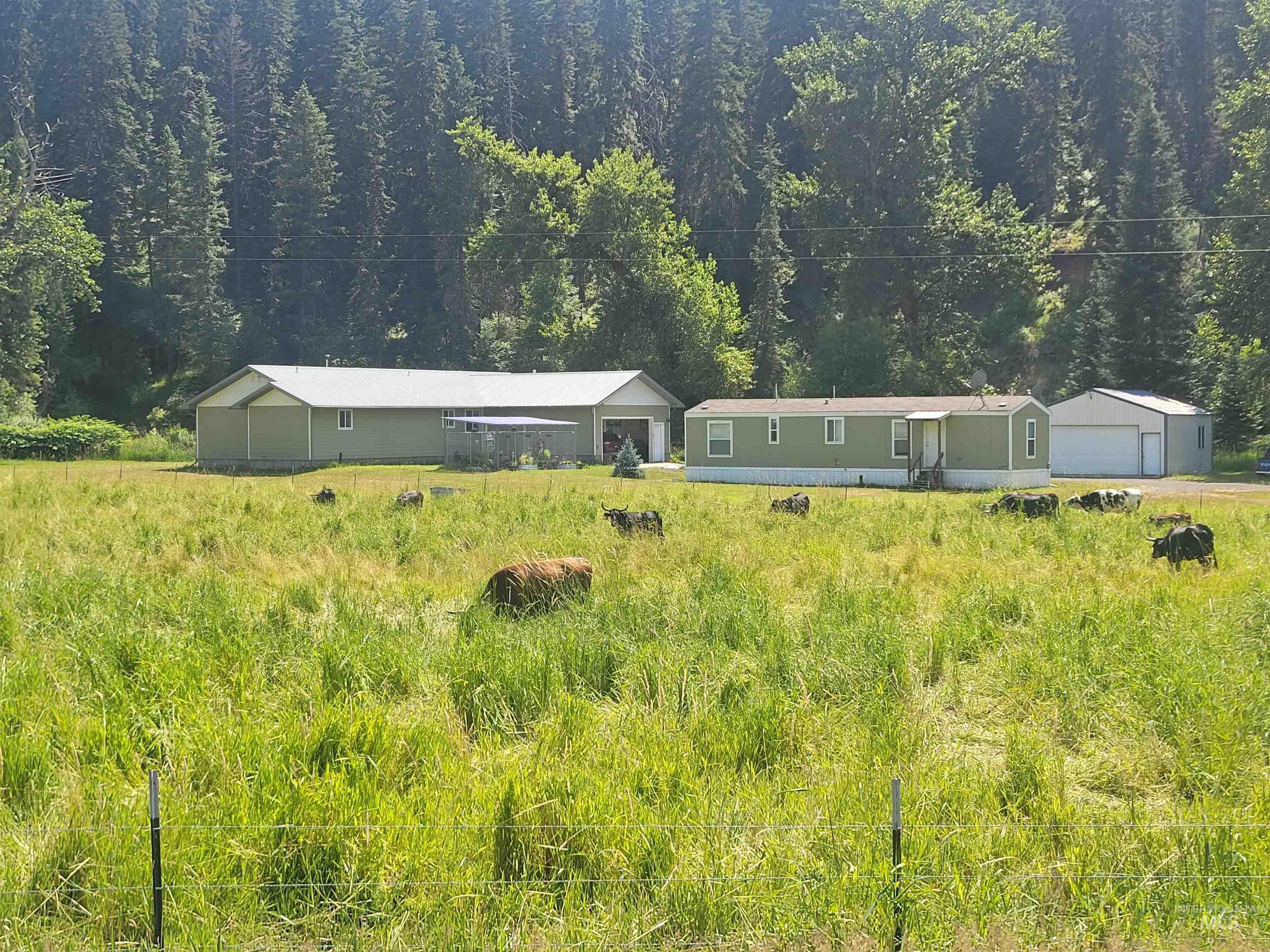 437 Clear Creek Rd, Kooskia, Idaho 83539, 2 Bedrooms, 2 Bathrooms, Residential For Sale, Price $735,000, 98975299