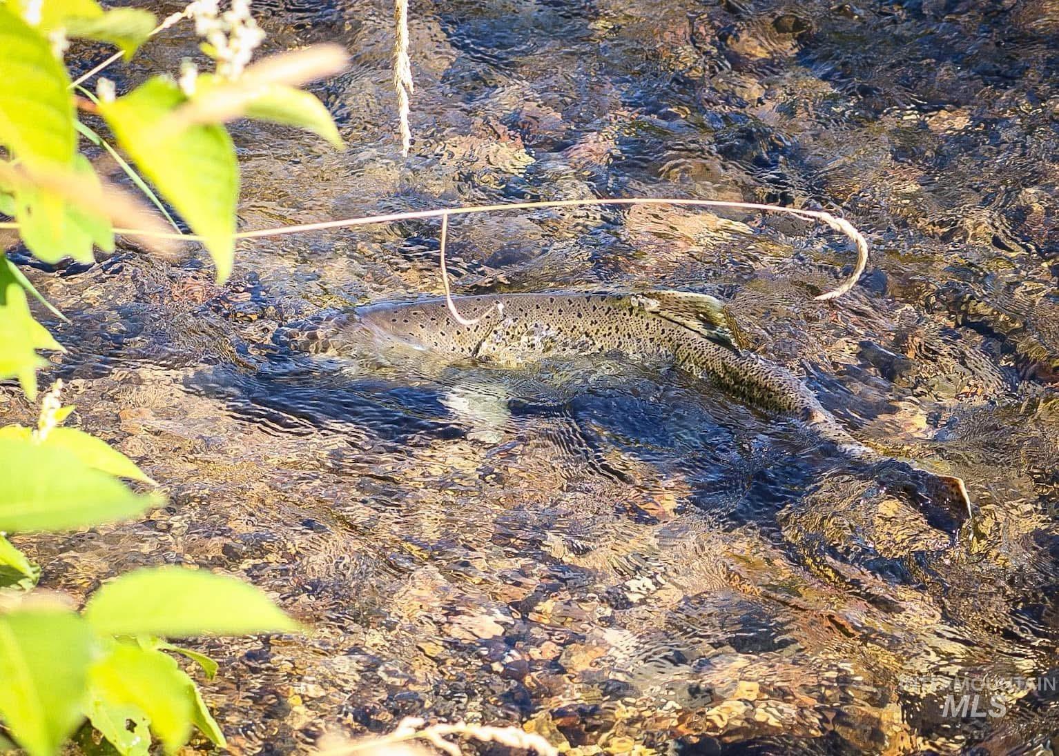 437 Clear Creek Rd, Kooskia, Idaho 83539, 2 Bedrooms, 2 Bathrooms, Residential For Sale, Price $735,000, 98975299