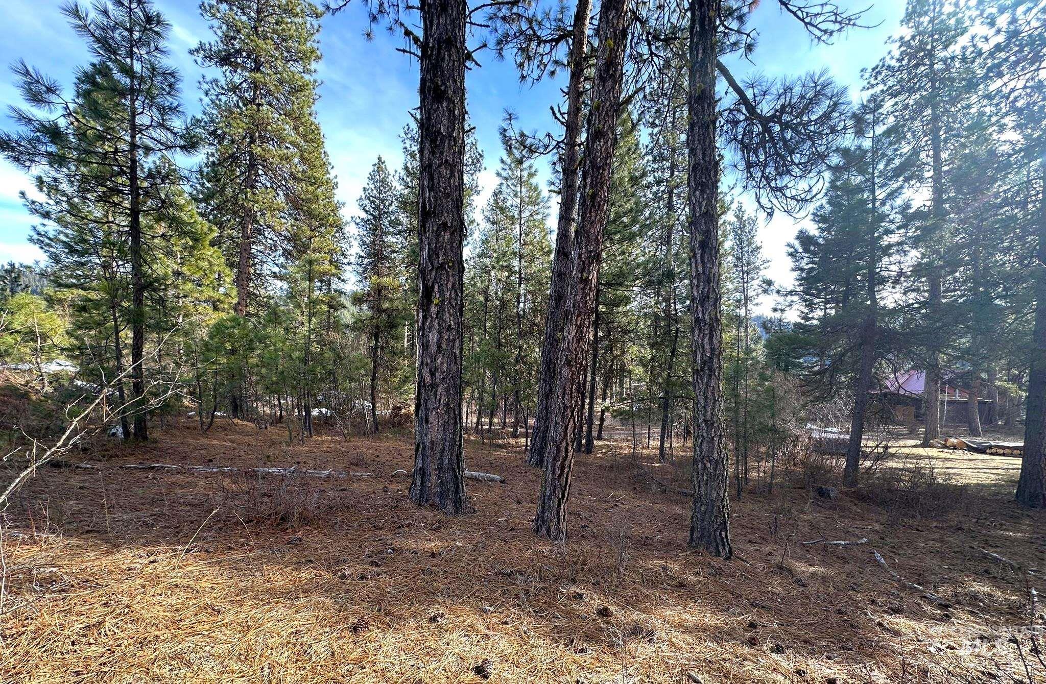TBD Cloudy Ln, Garden Valley, Idaho 83622, Land For Sale, Price $65,000,MLS 98975317