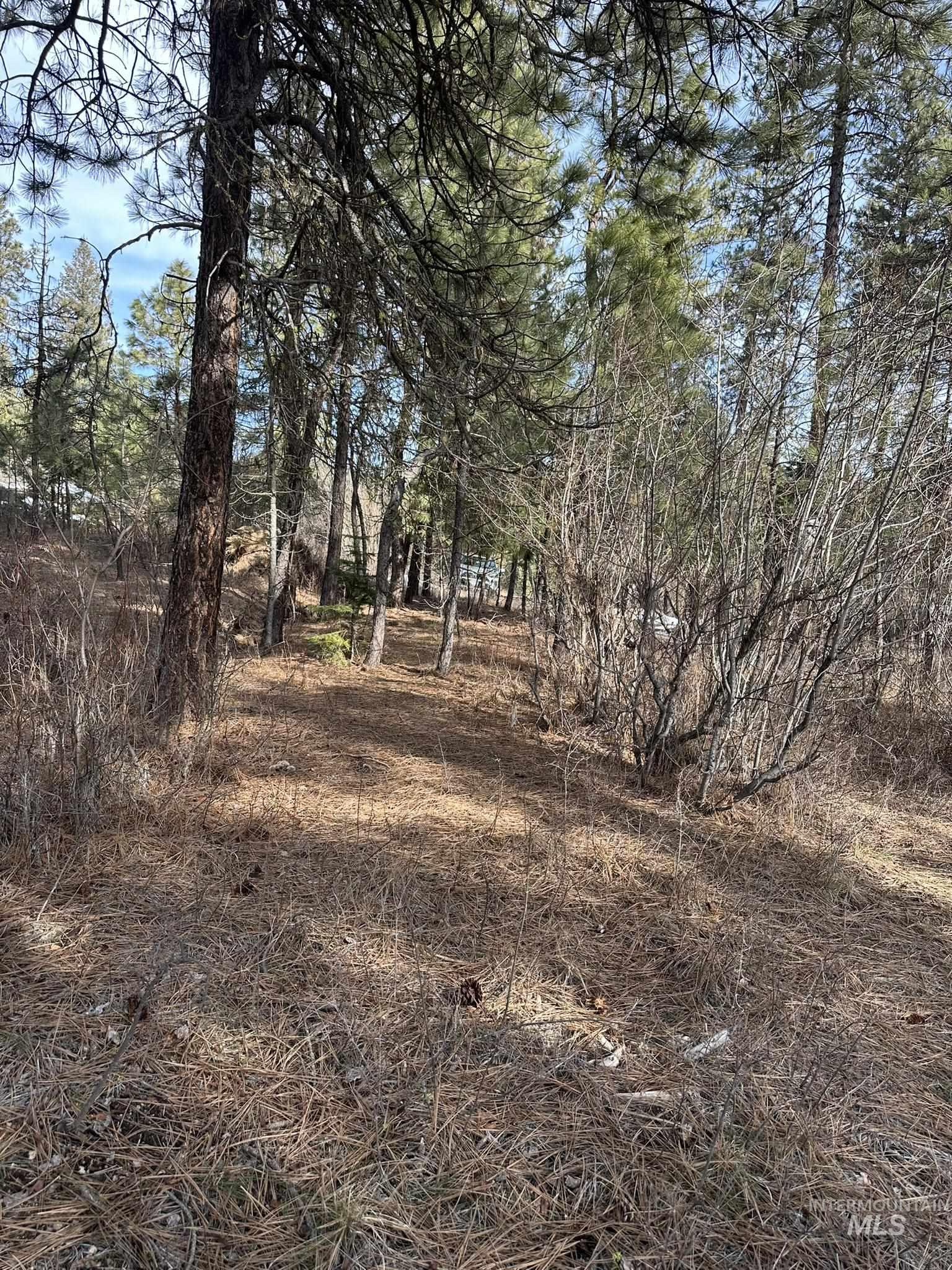 TBD Cloudy Ln, Garden Valley, Idaho 83622, Land For Sale, Price $65,000,MLS 98975317