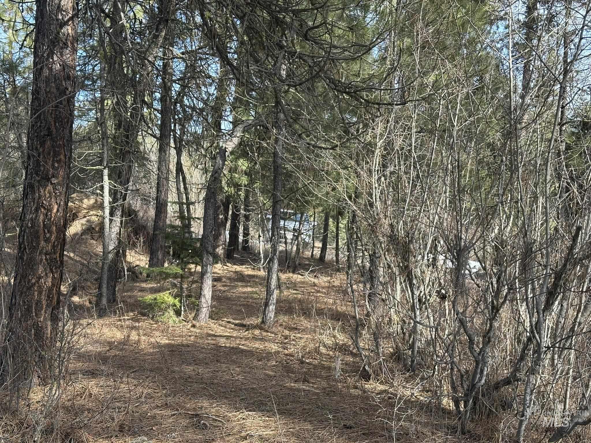 TBD Cloudy Ln, Garden Valley, Idaho 83622, Land For Sale, Price $65,000,MLS 98975317