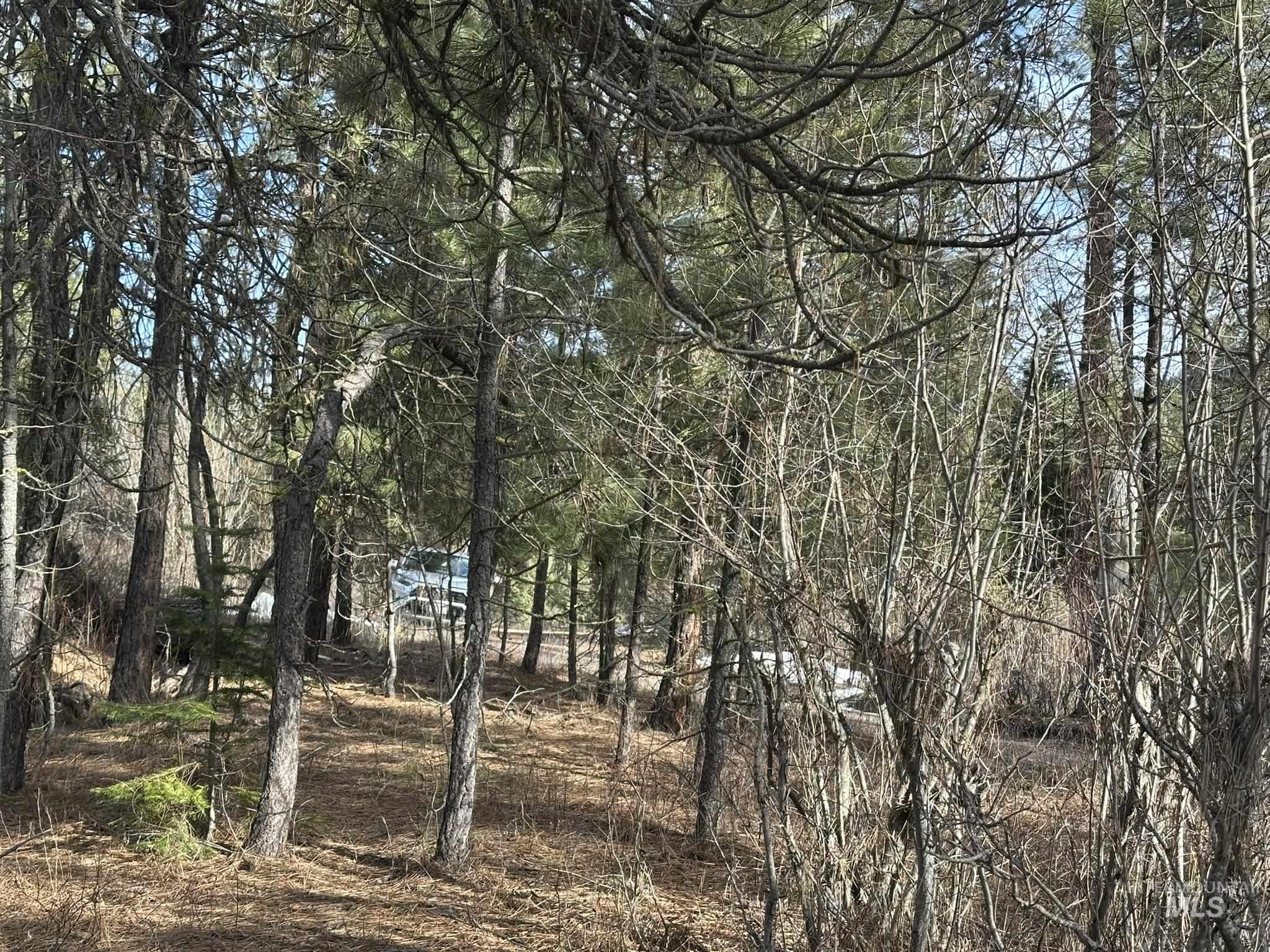 TBD Cloudy Ln, Garden Valley, Idaho 83622, Land For Sale, Price $65,000,MLS 98975317