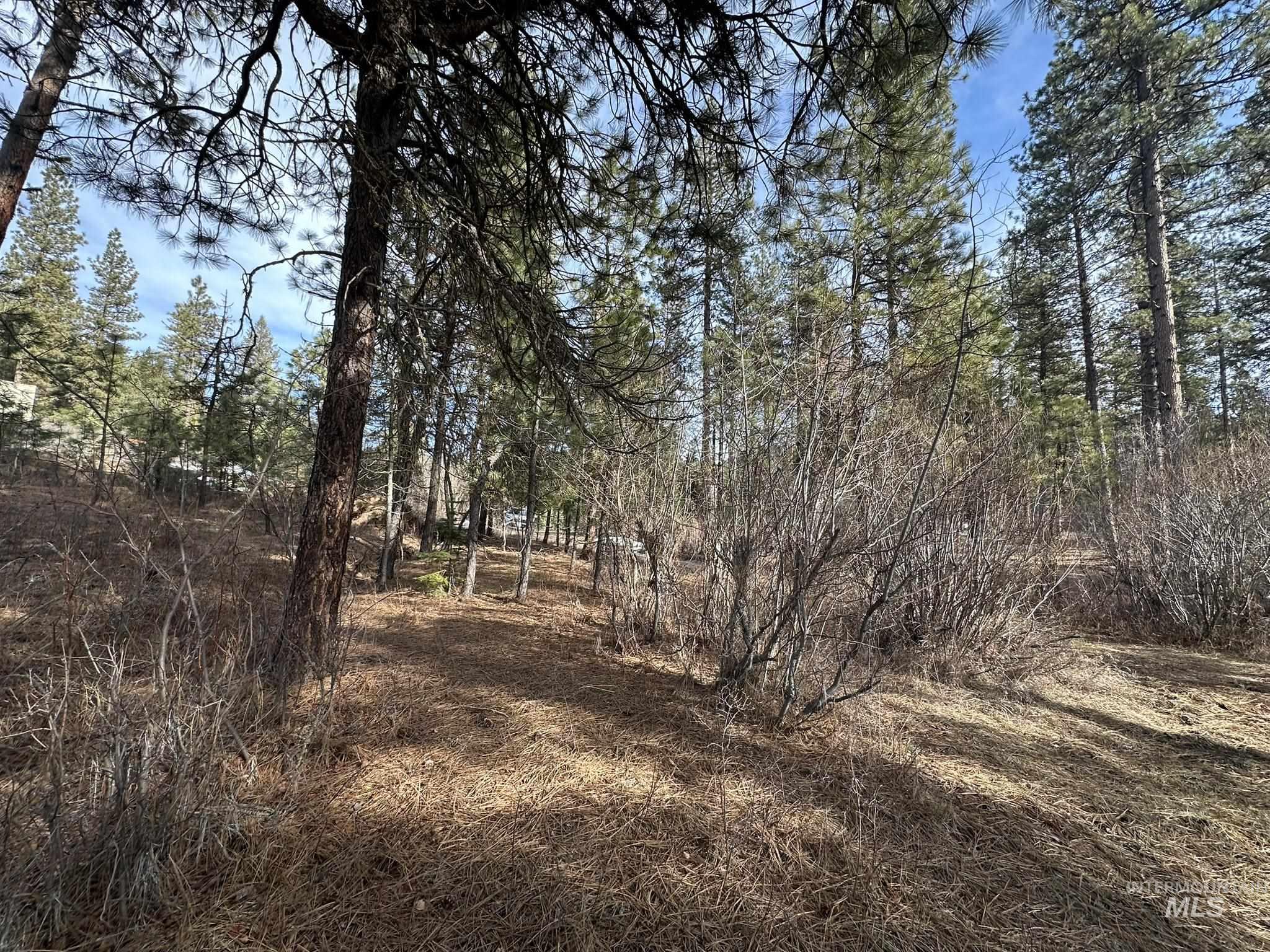 TBD Cloudy Ln, Garden Valley, Idaho 83622, Land For Sale, Price $65,000,MLS 98975317