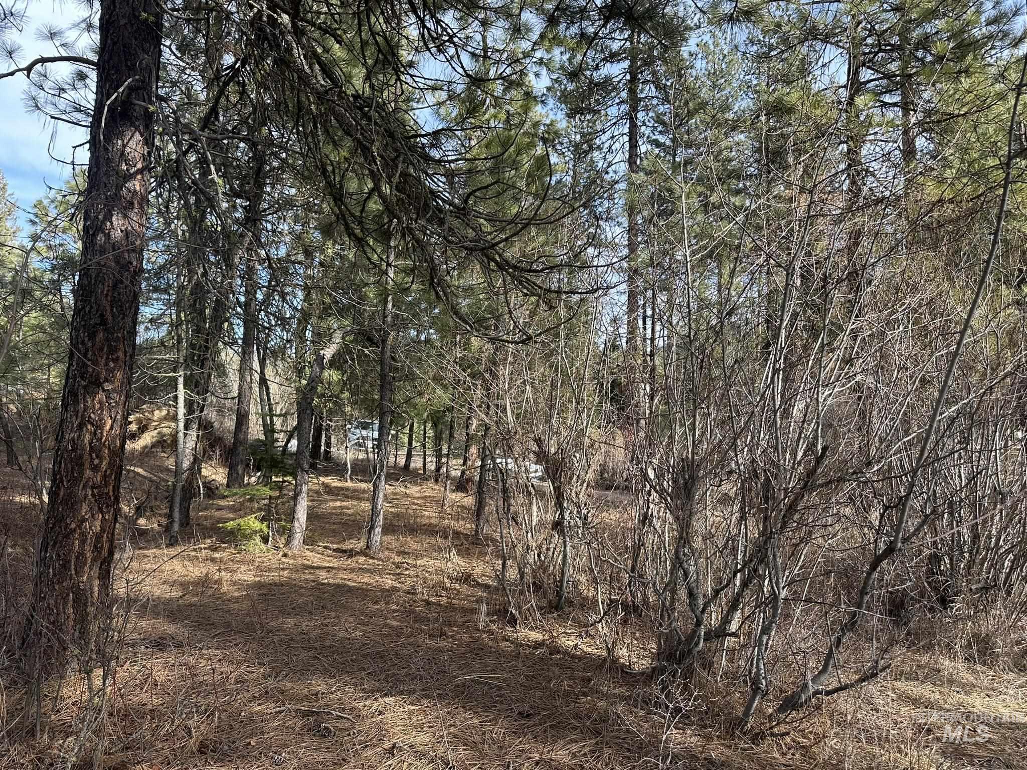 TBD Cloudy Ln, Garden Valley, Idaho 83622, Land For Sale, Price $65,000,MLS 98975317