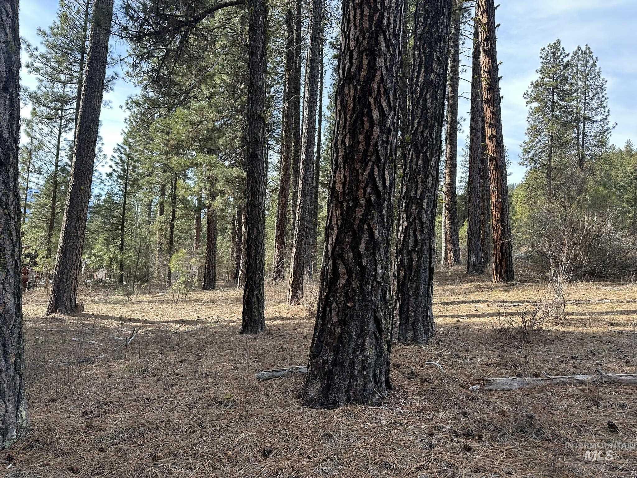 TBD Cloudy Ln, Garden Valley, Idaho 83622, Land For Sale, Price $65,000,MLS 98975317