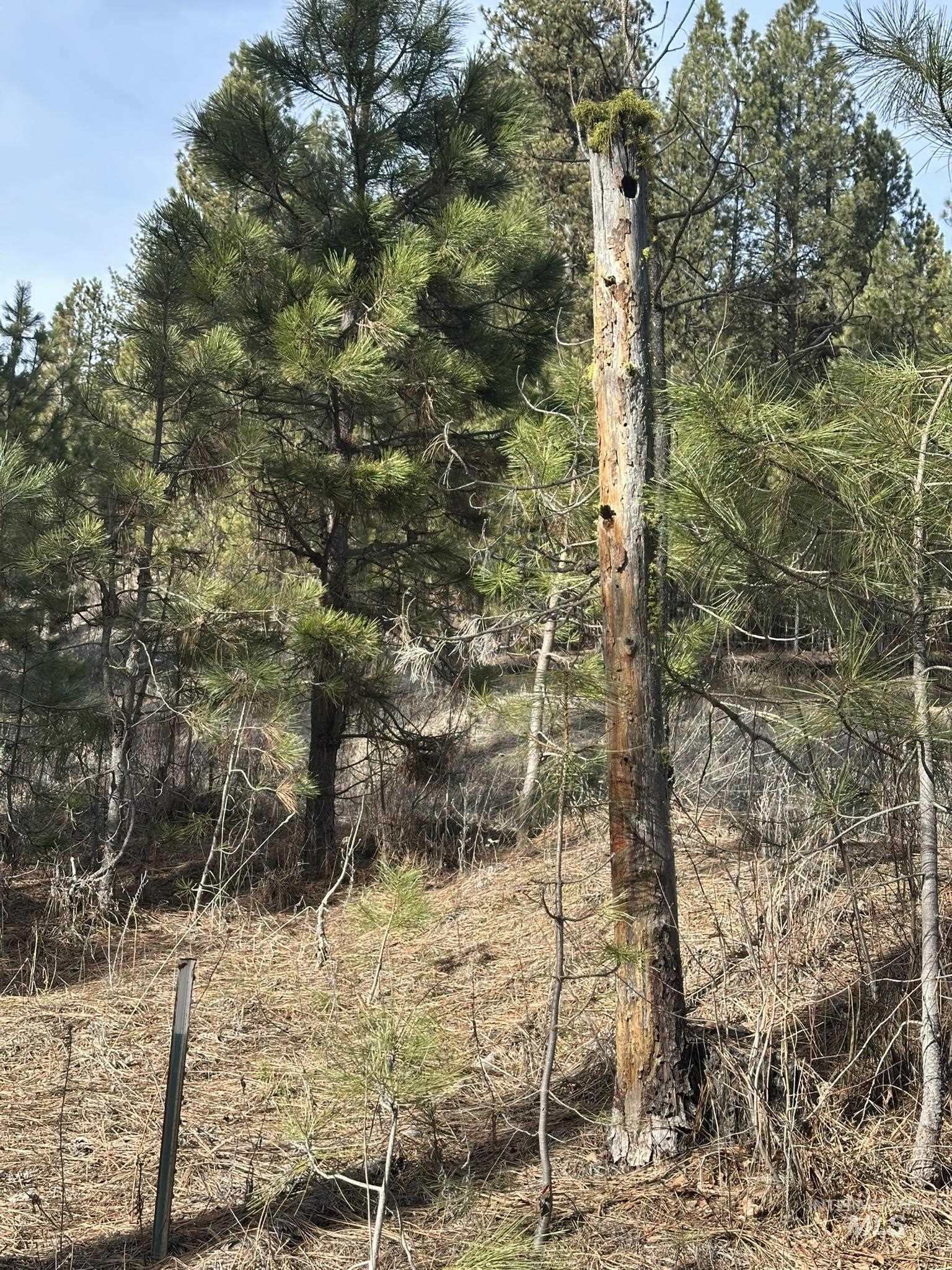 TBD Cloudy Ln, Garden Valley, Idaho 83622, Land For Sale, Price $65,000,MLS 98975317