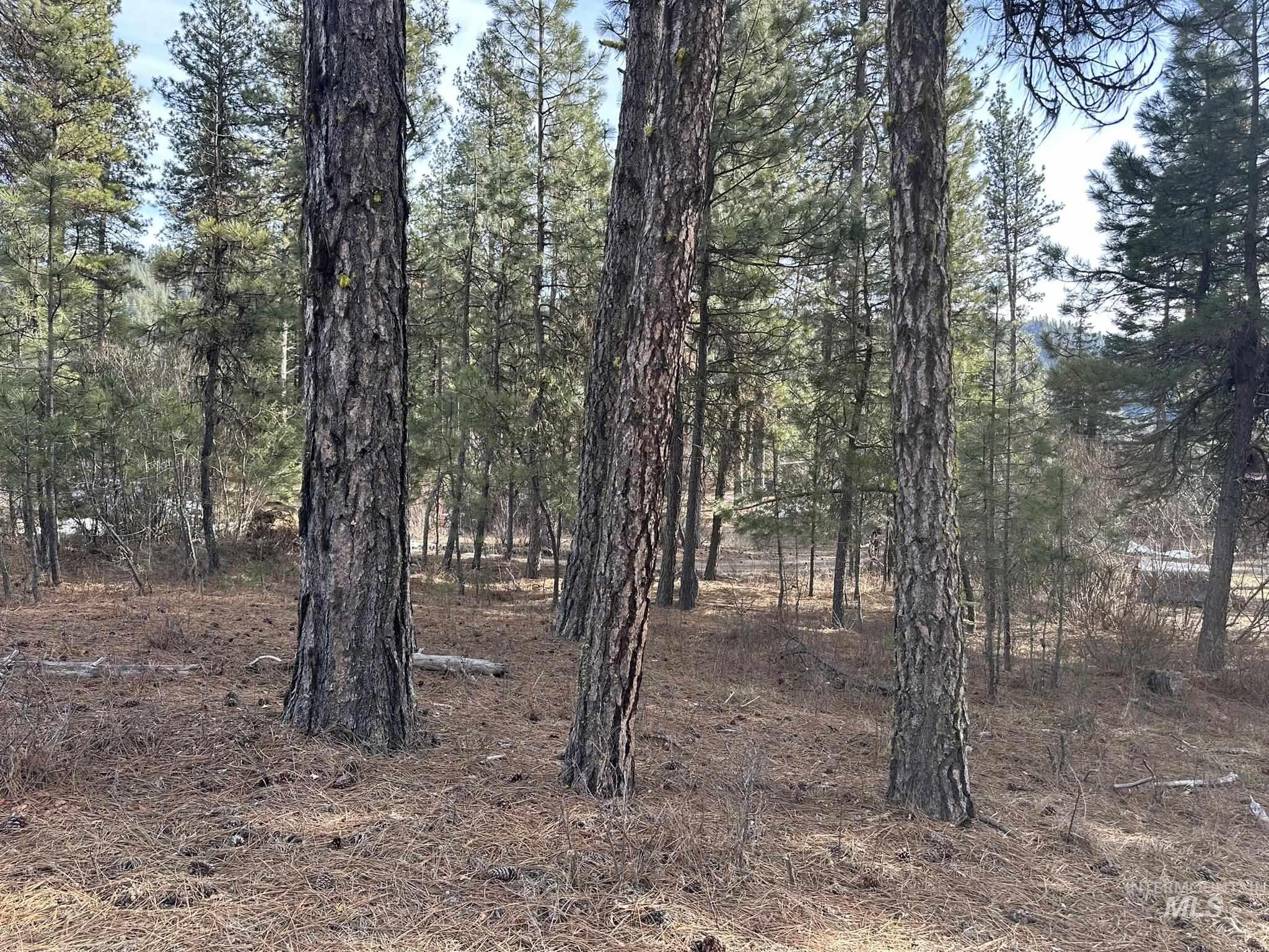 TBD Cloudy Ln, Garden Valley, Idaho 83622, Land For Sale, Price $65,000,MLS 98975317