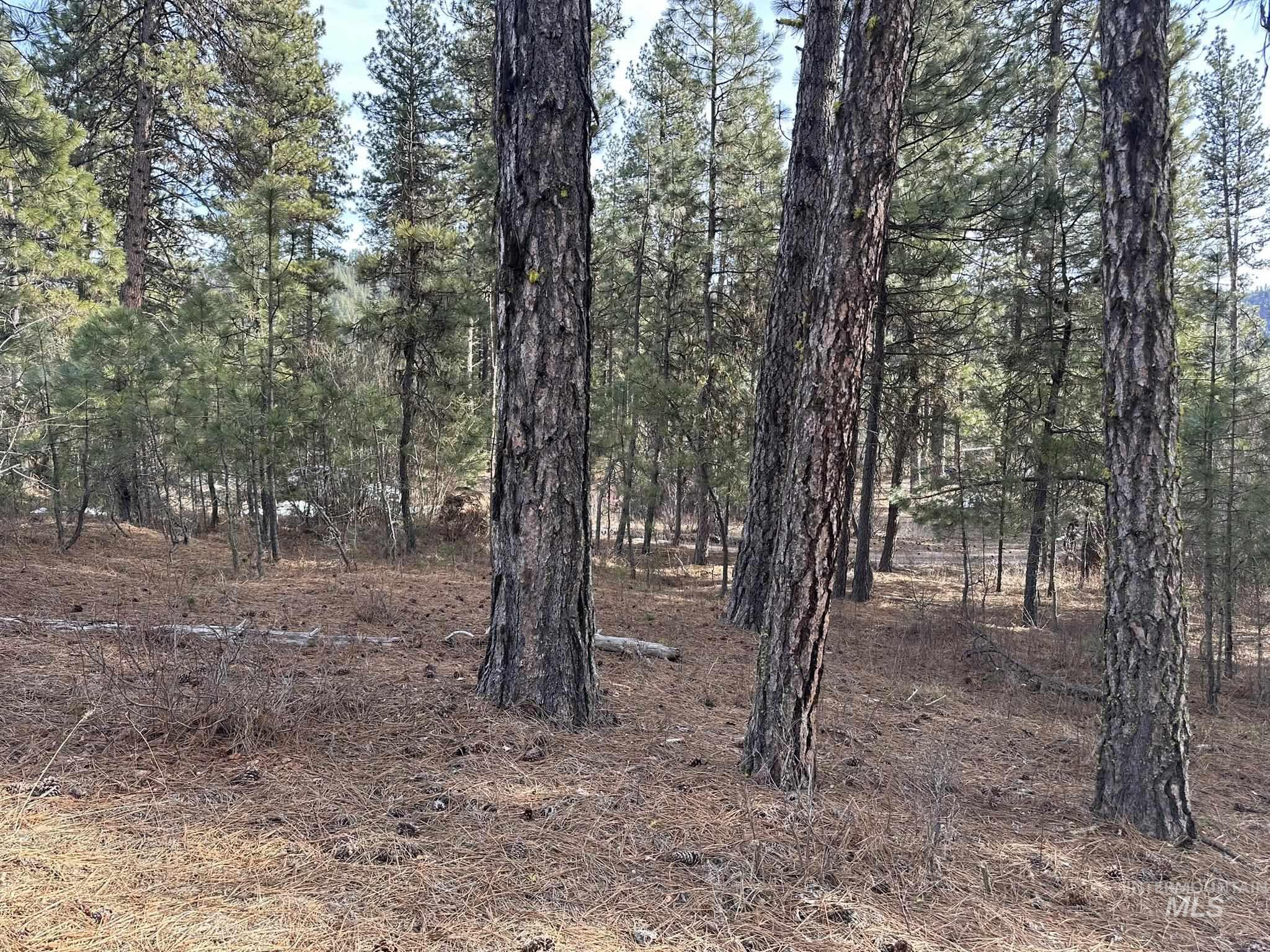 TBD Cloudy Ln, Garden Valley, Idaho 83622, Land For Sale, Price $65,000,MLS 98975317