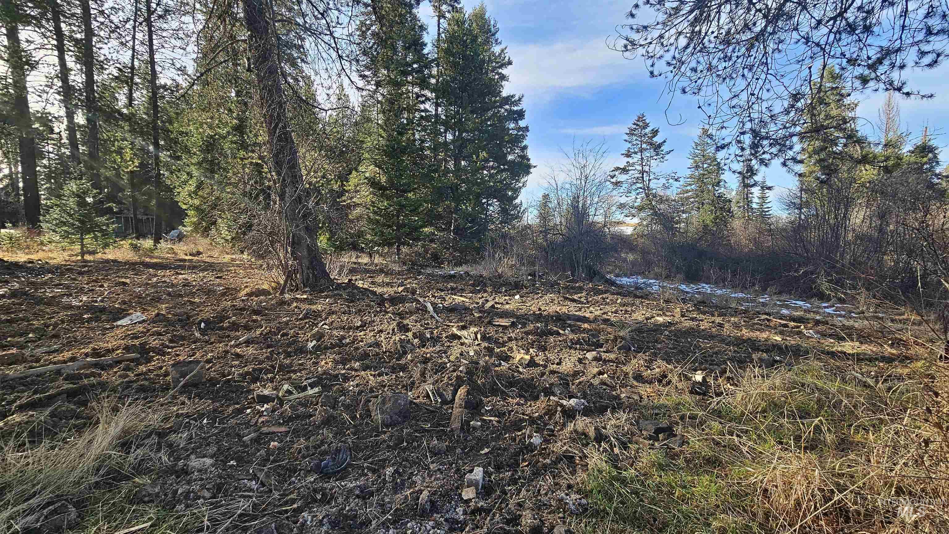 92 Roueau Loop, Weippe, Idaho 83531, Land For Sale, Price $65,000,MLS 98975326